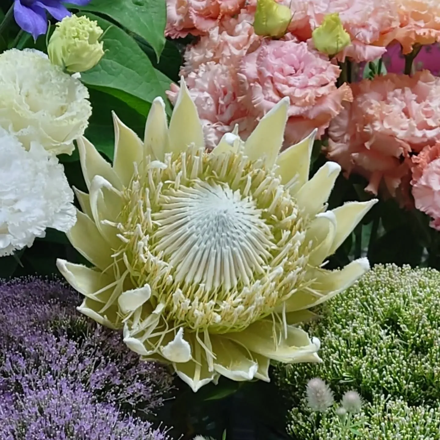 惹きつけるなぁ〜