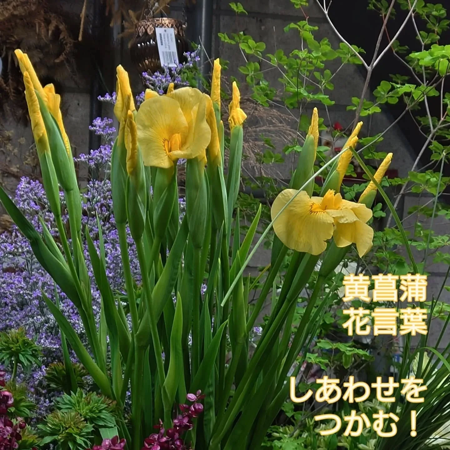 書道の展覧会に
