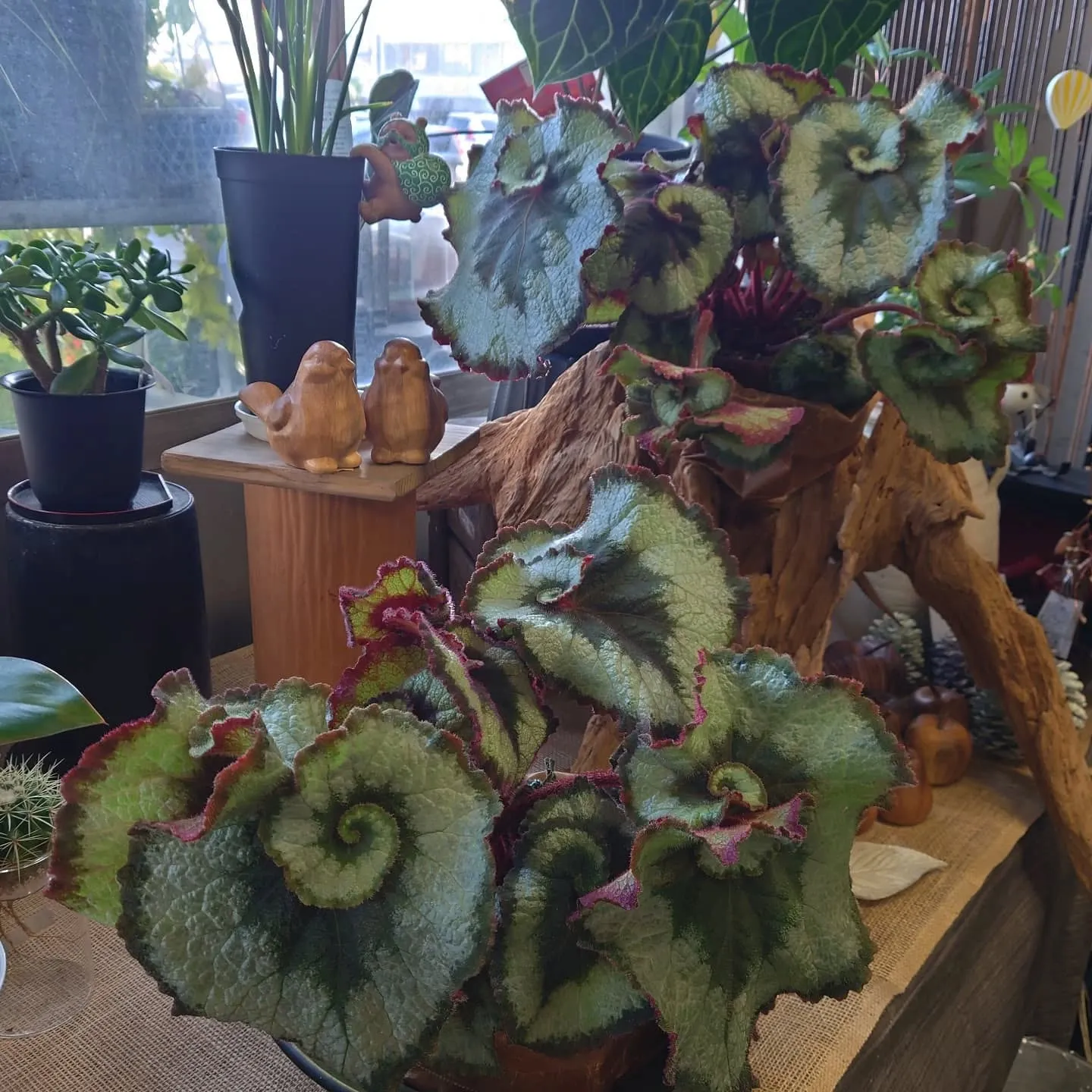 カタツムリなLeaf