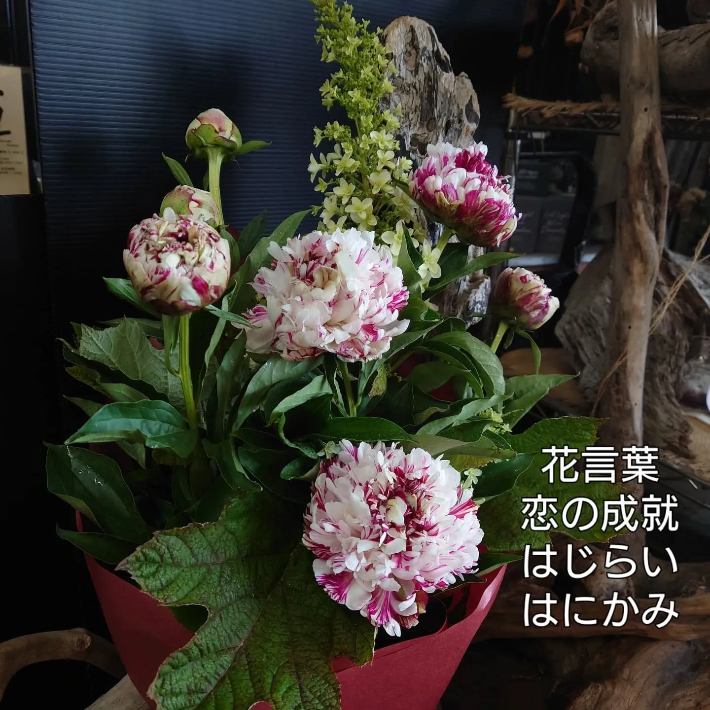 愛する奥様に