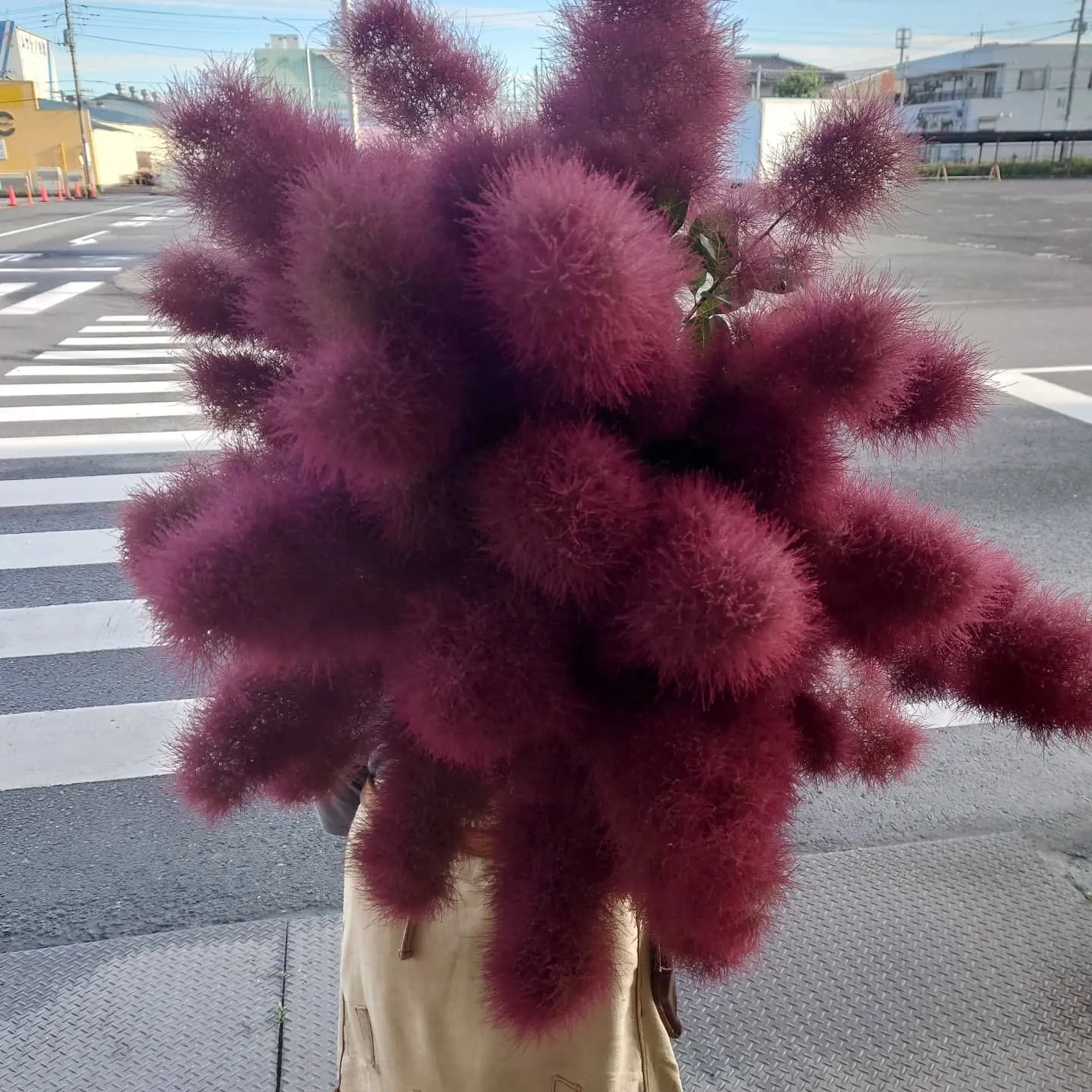 今日も