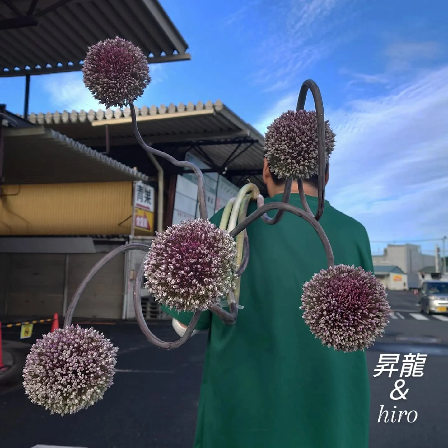 今日も