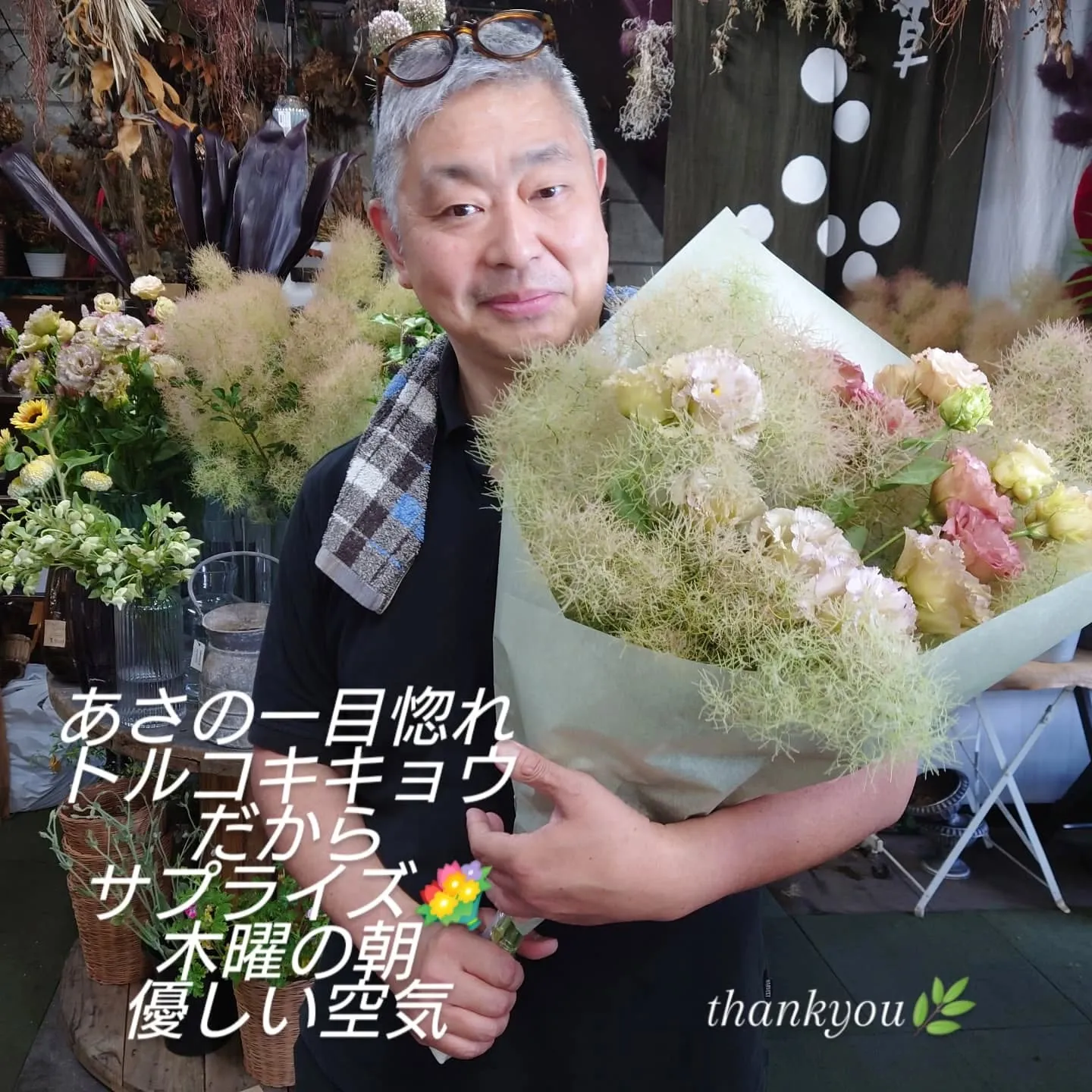 スモークツリーグリーンファ