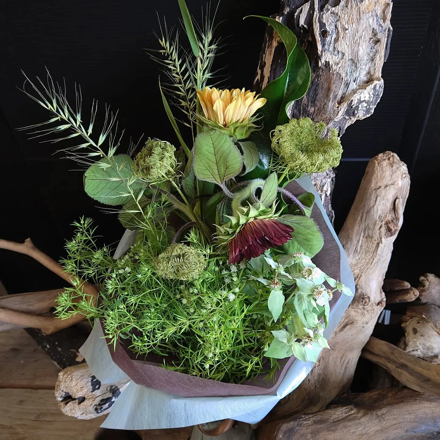 文月🌿