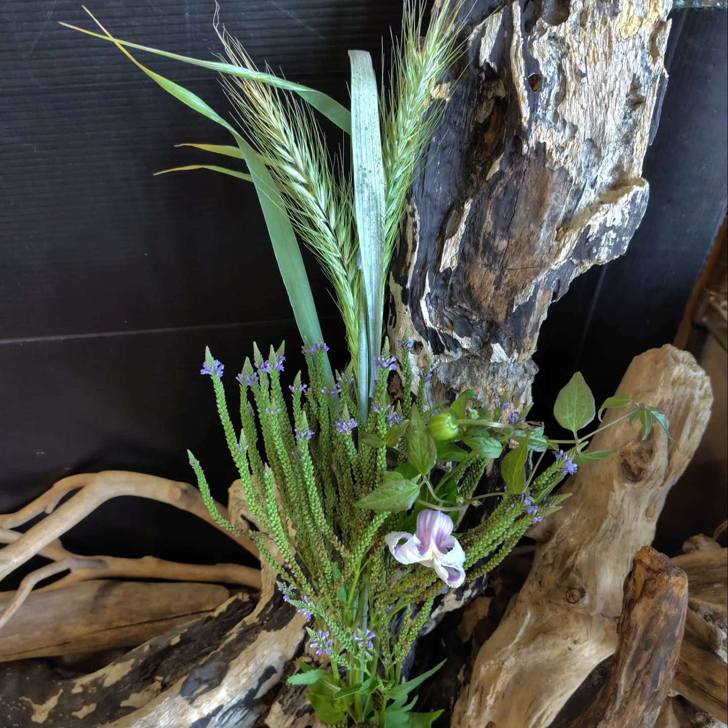 朝活花屋