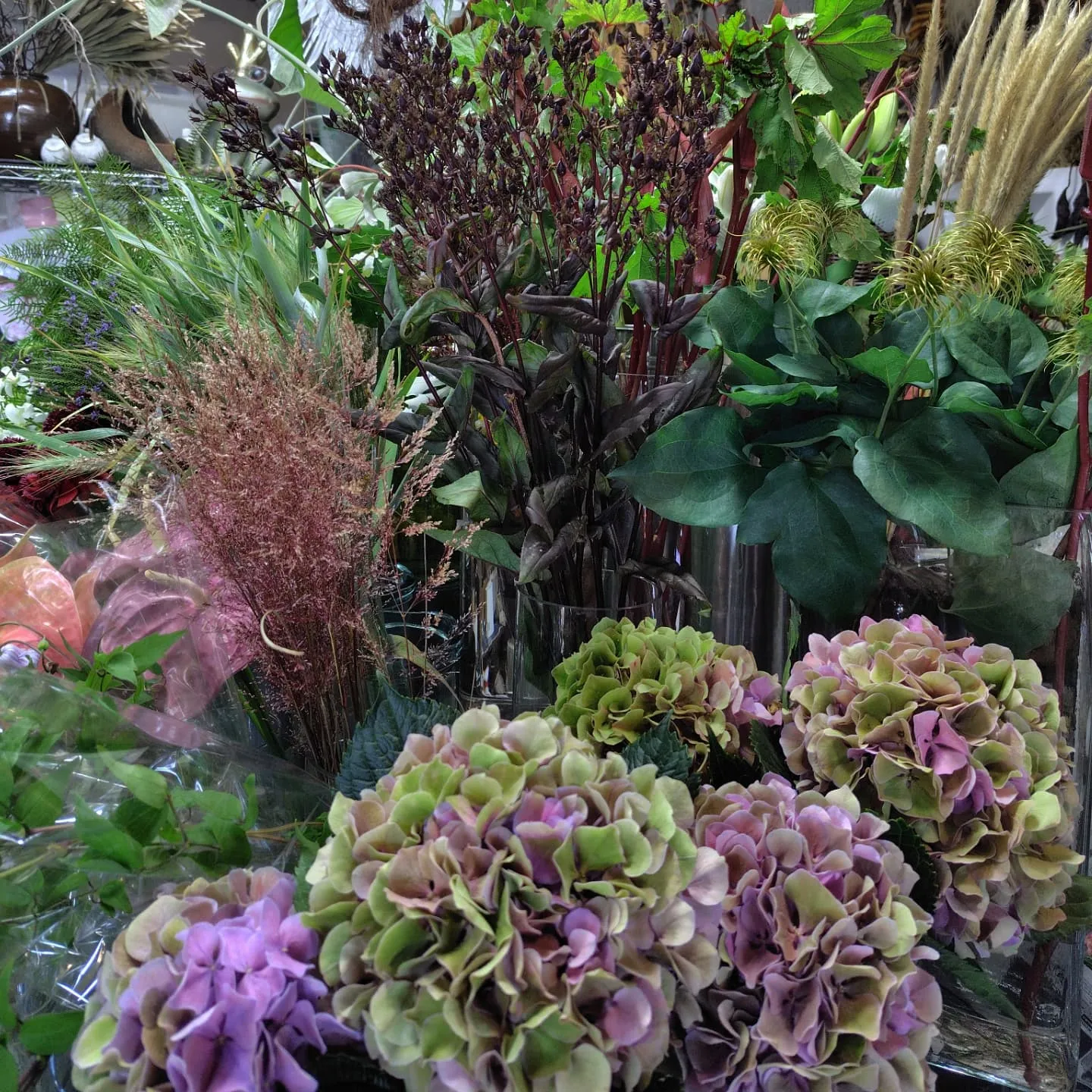 今日の草🌿