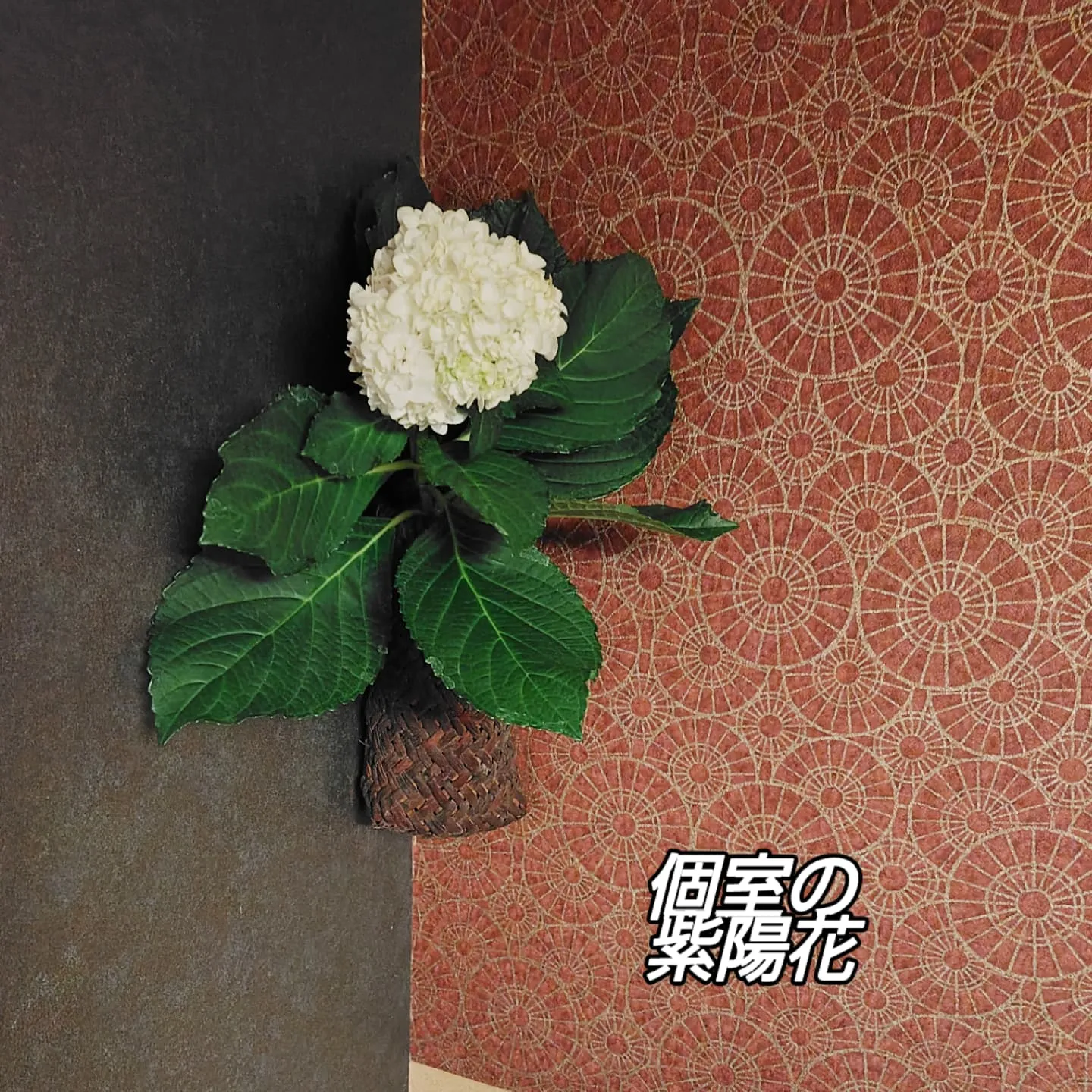 あいろん亭　
