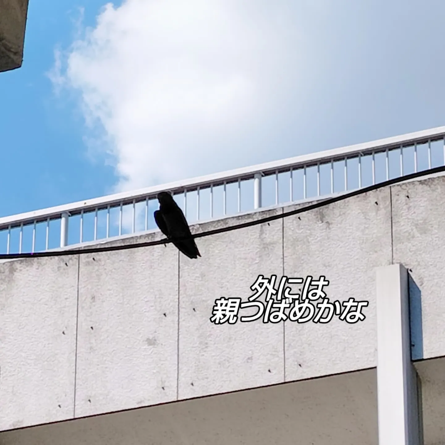 あいろん亭　