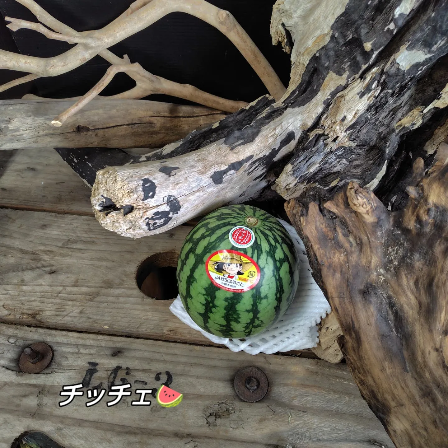 うはっ🍉🍉🍉
