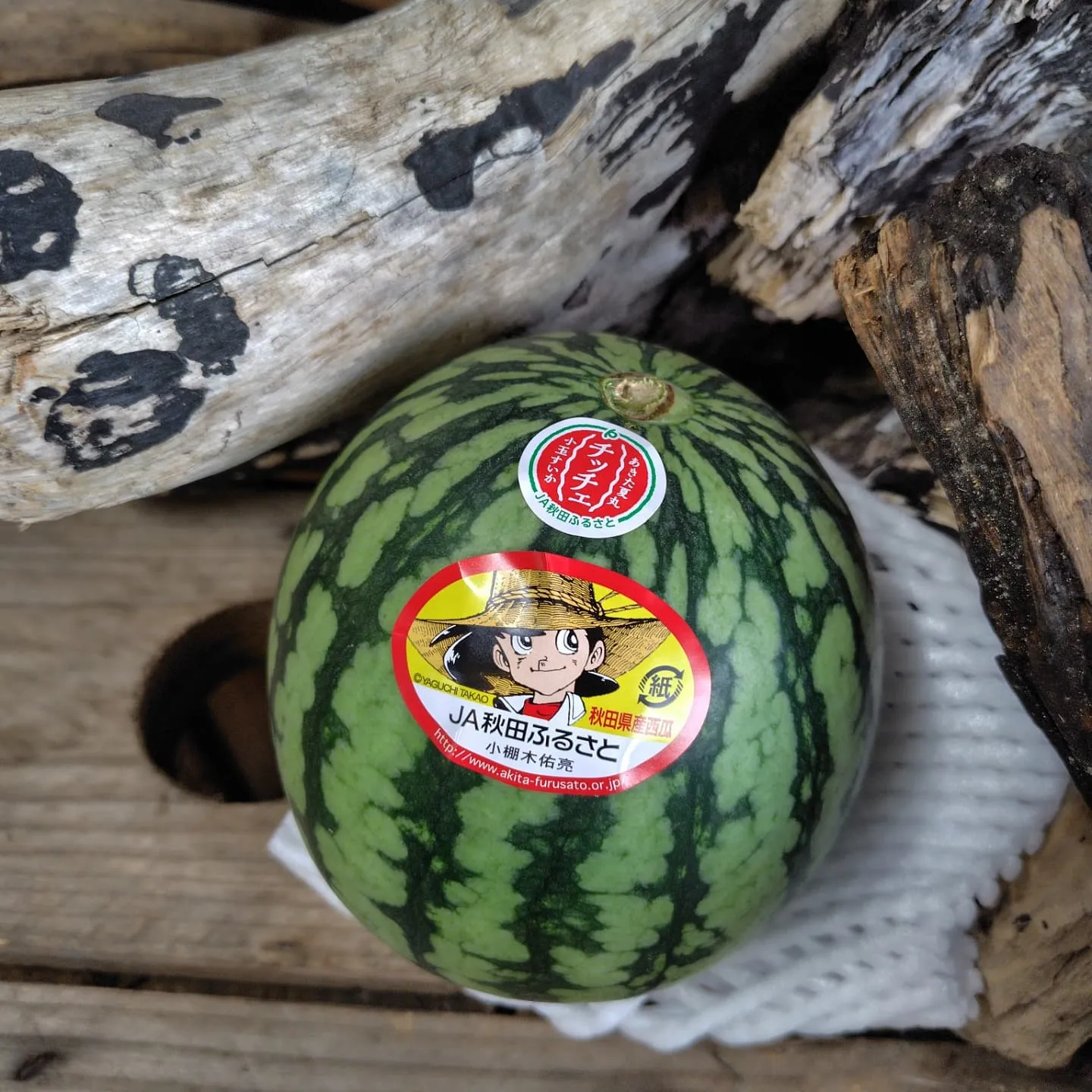うはっ🍉🍉🍉