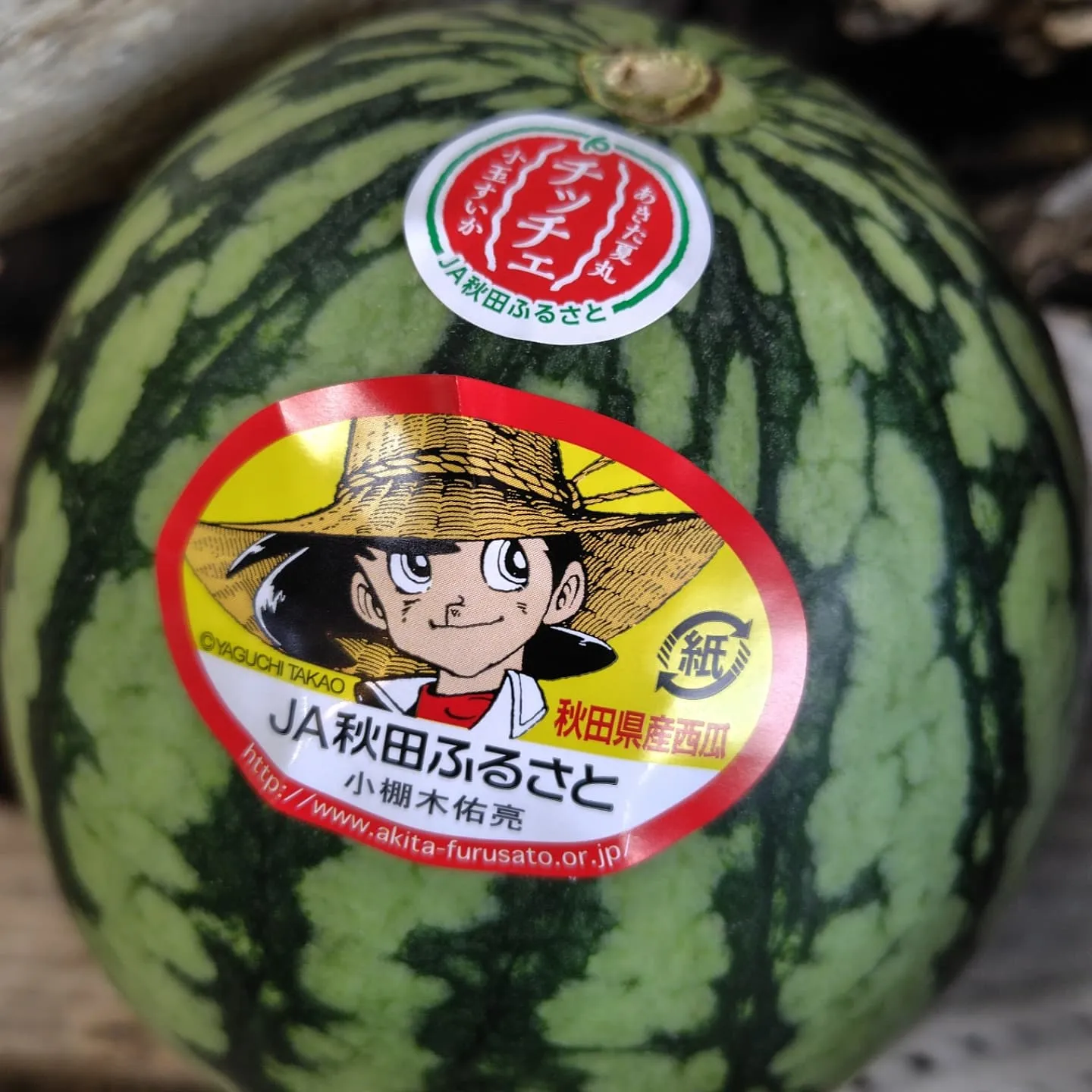 うはっ🍉🍉🍉