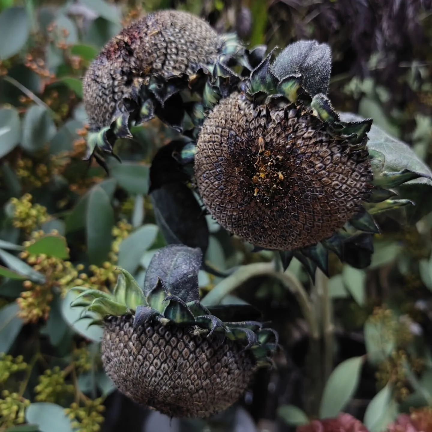 おはようさん🌧️