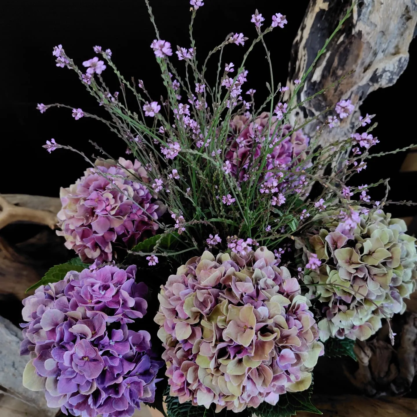 あじさい秋色パープル