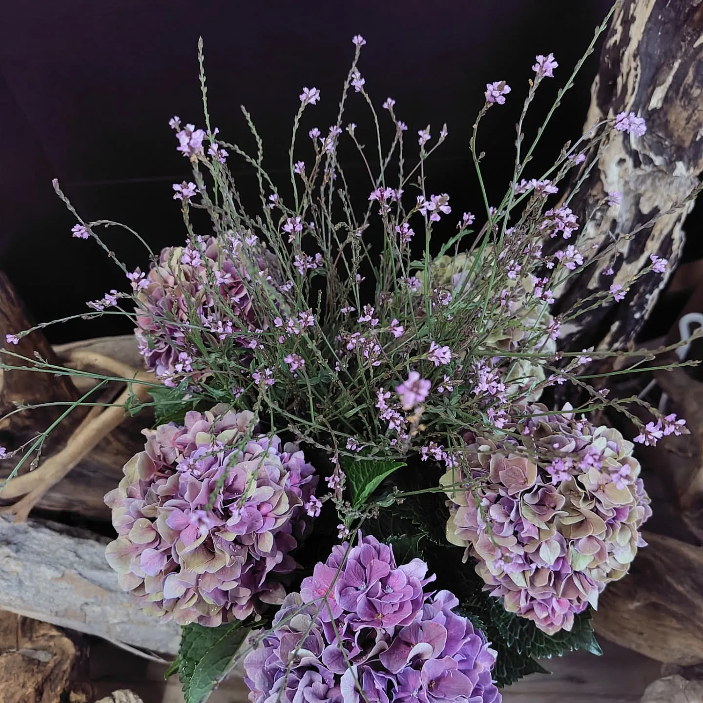 あじさい秋色パープル