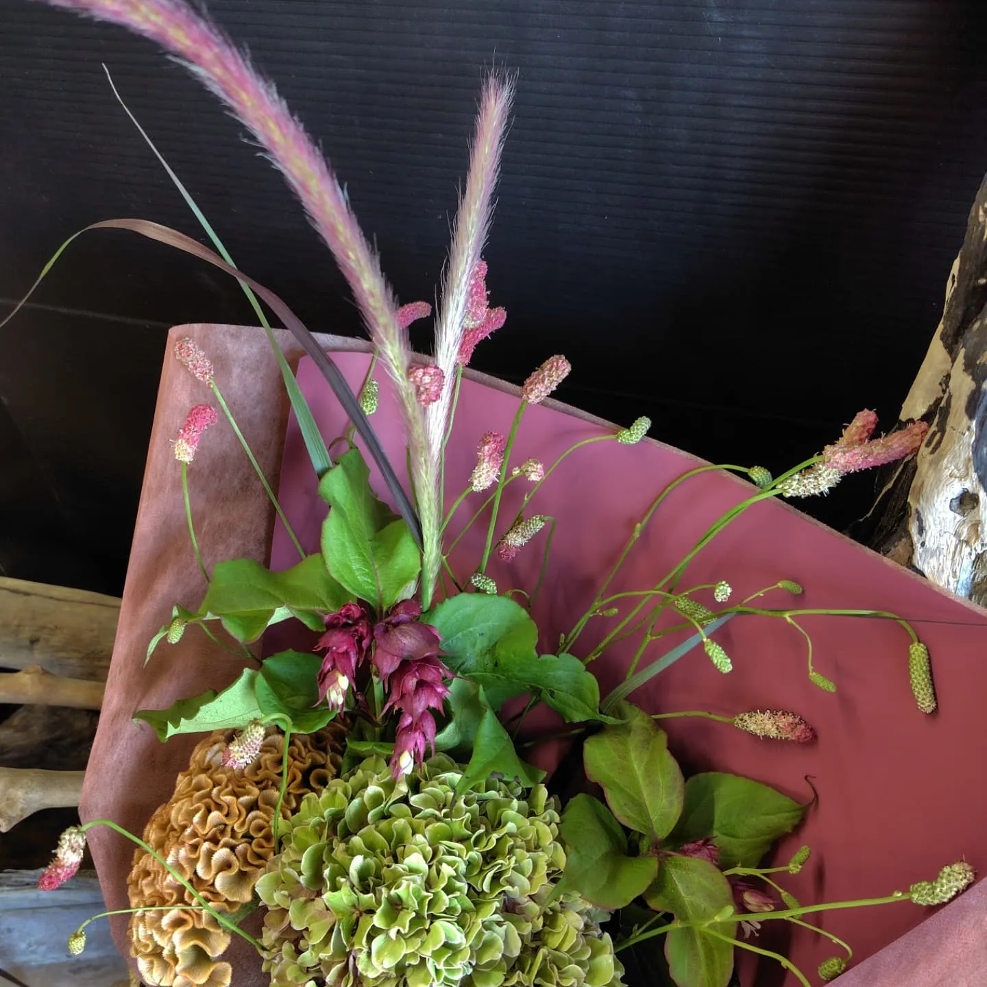 ケイトウチャーミング