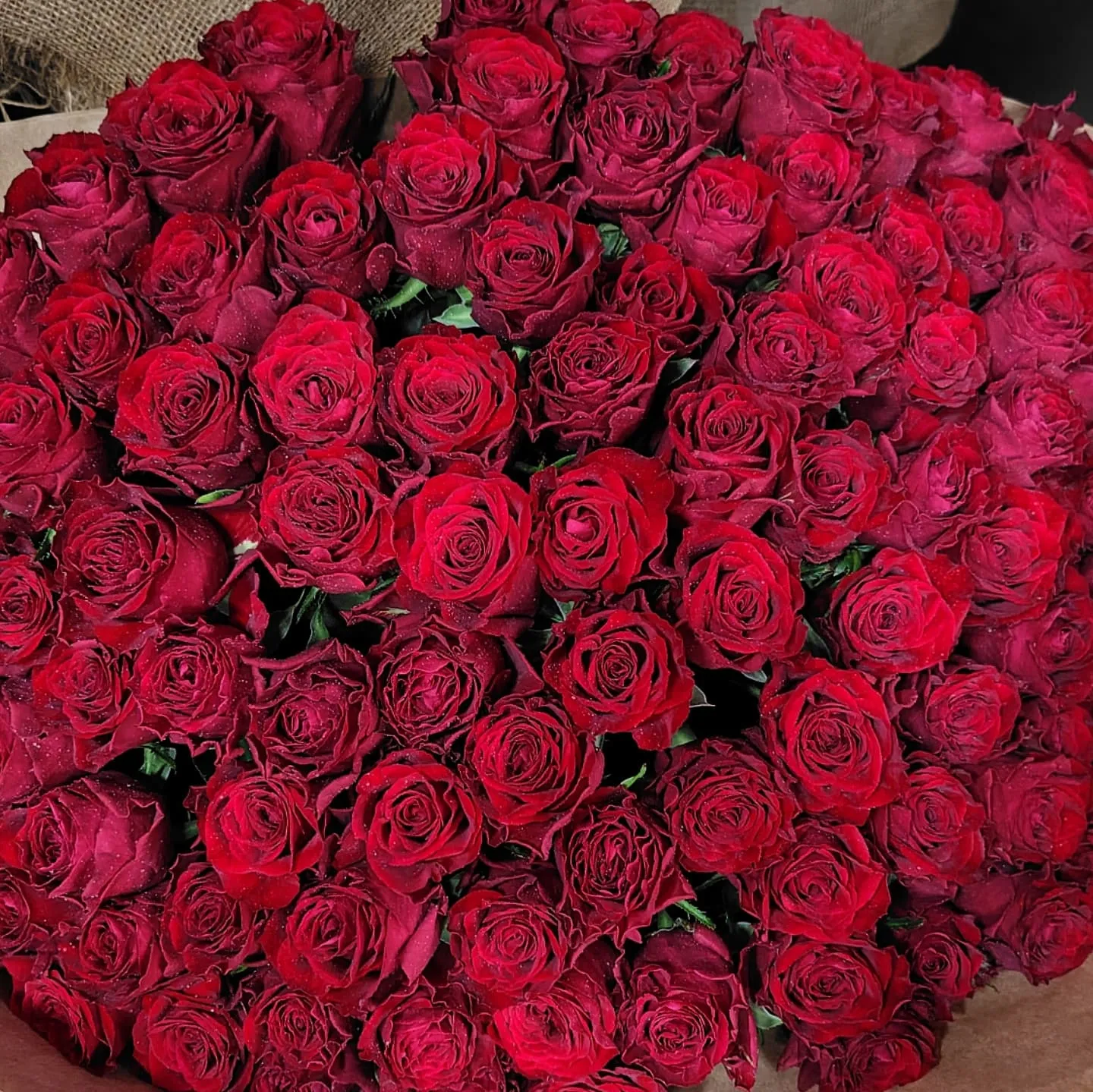 赤薔薇108本