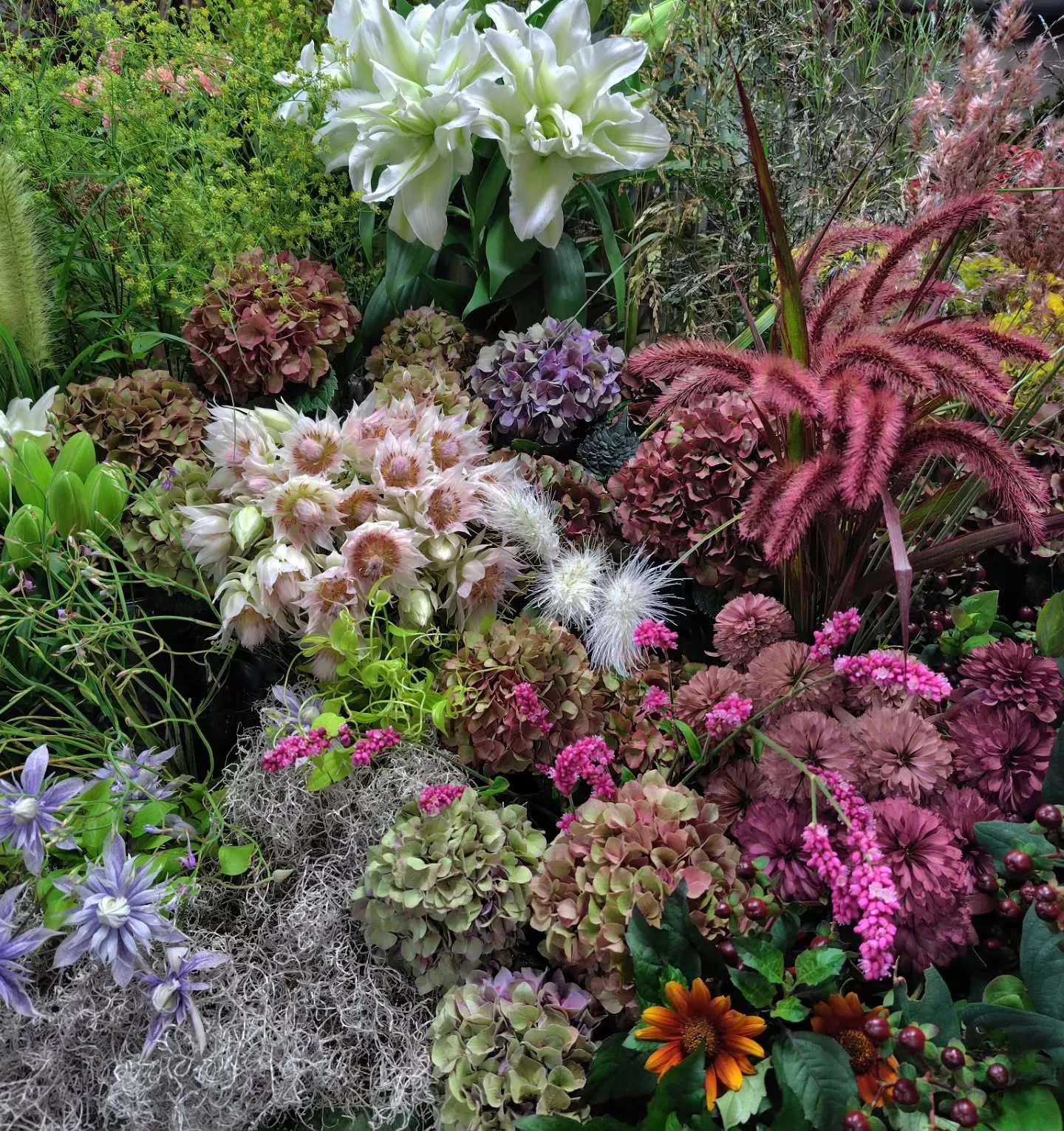 秋の花