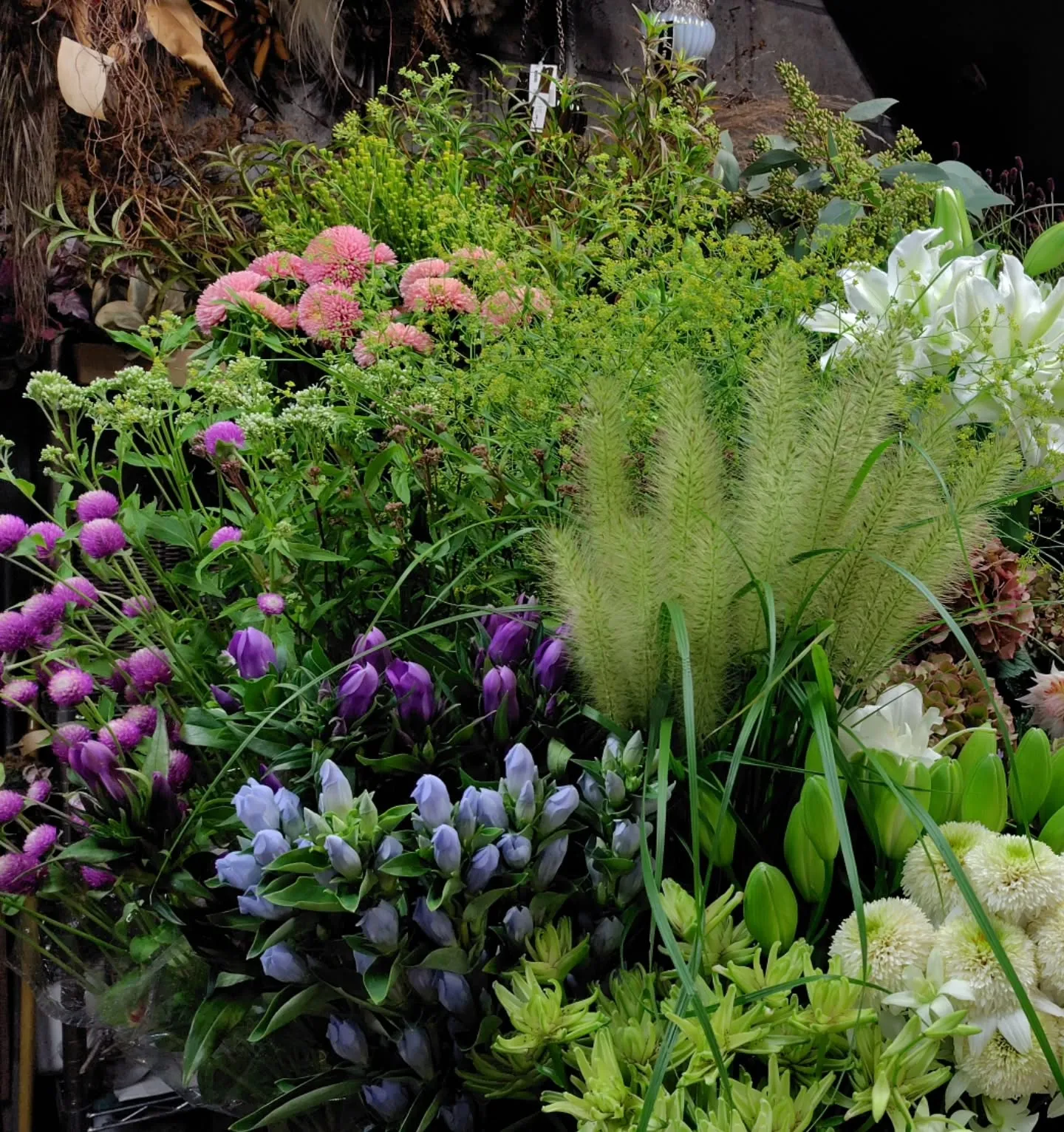 秋の花