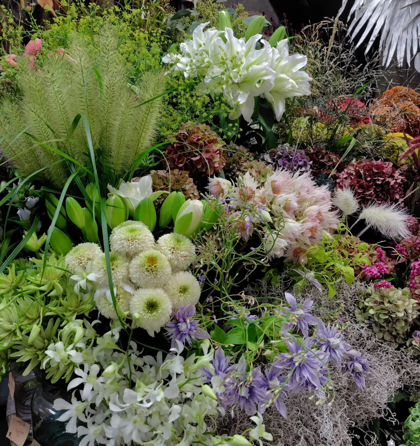 秋の花