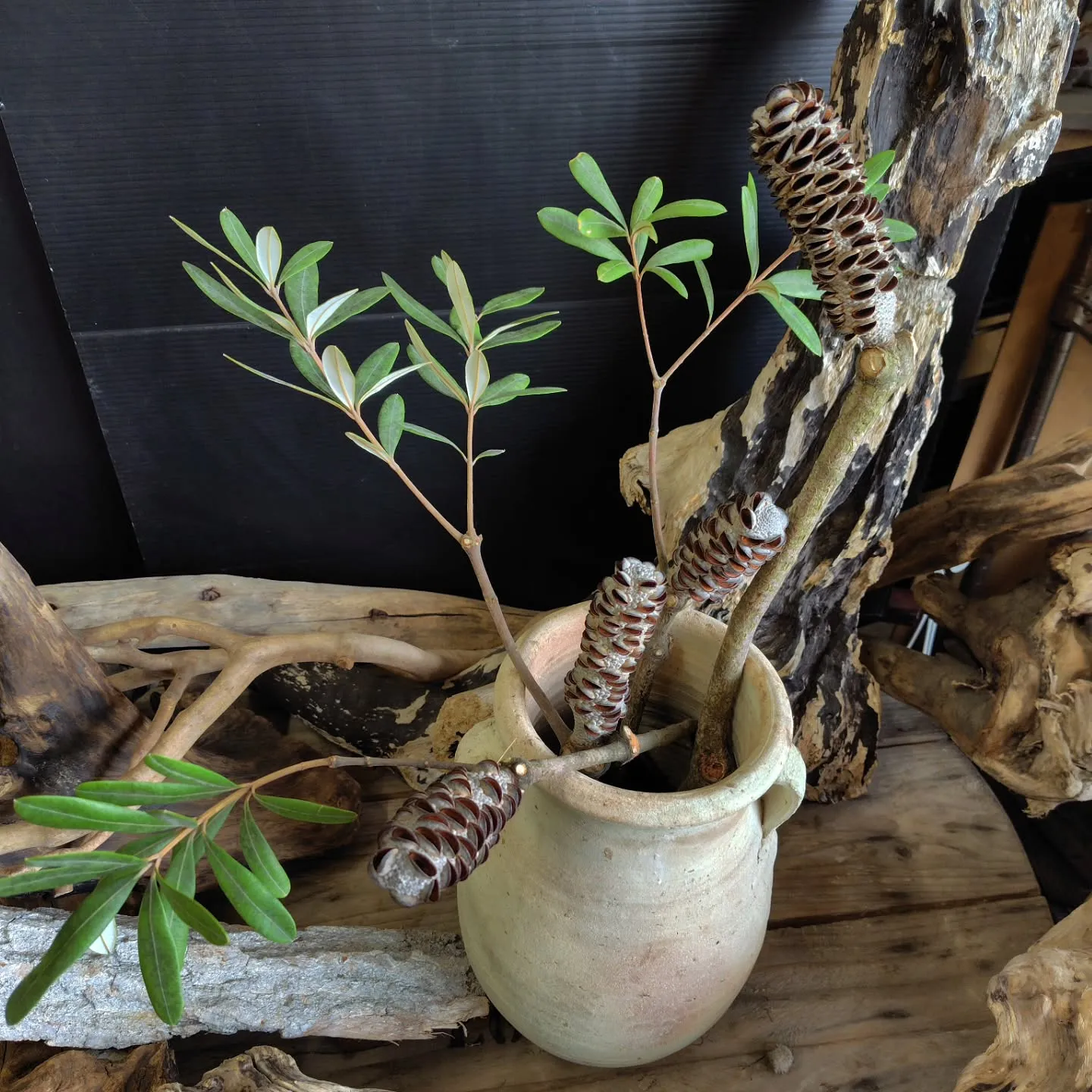 今朝の大宮市場も