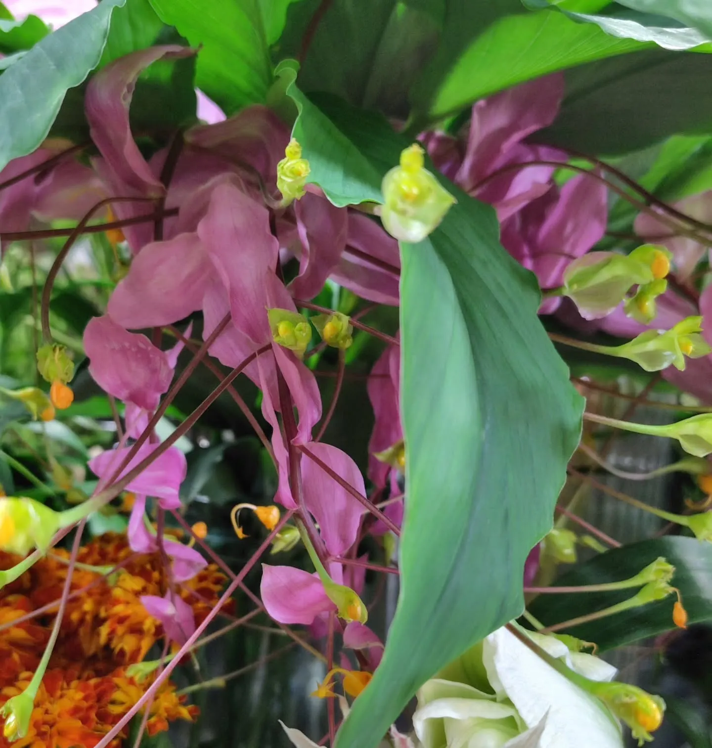 祭壇に飾るお花
