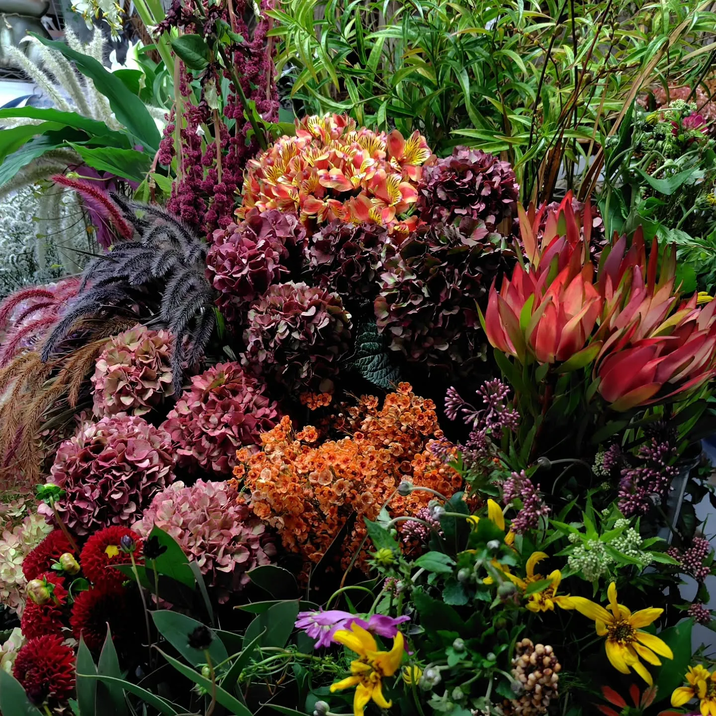 秋色な草🌿