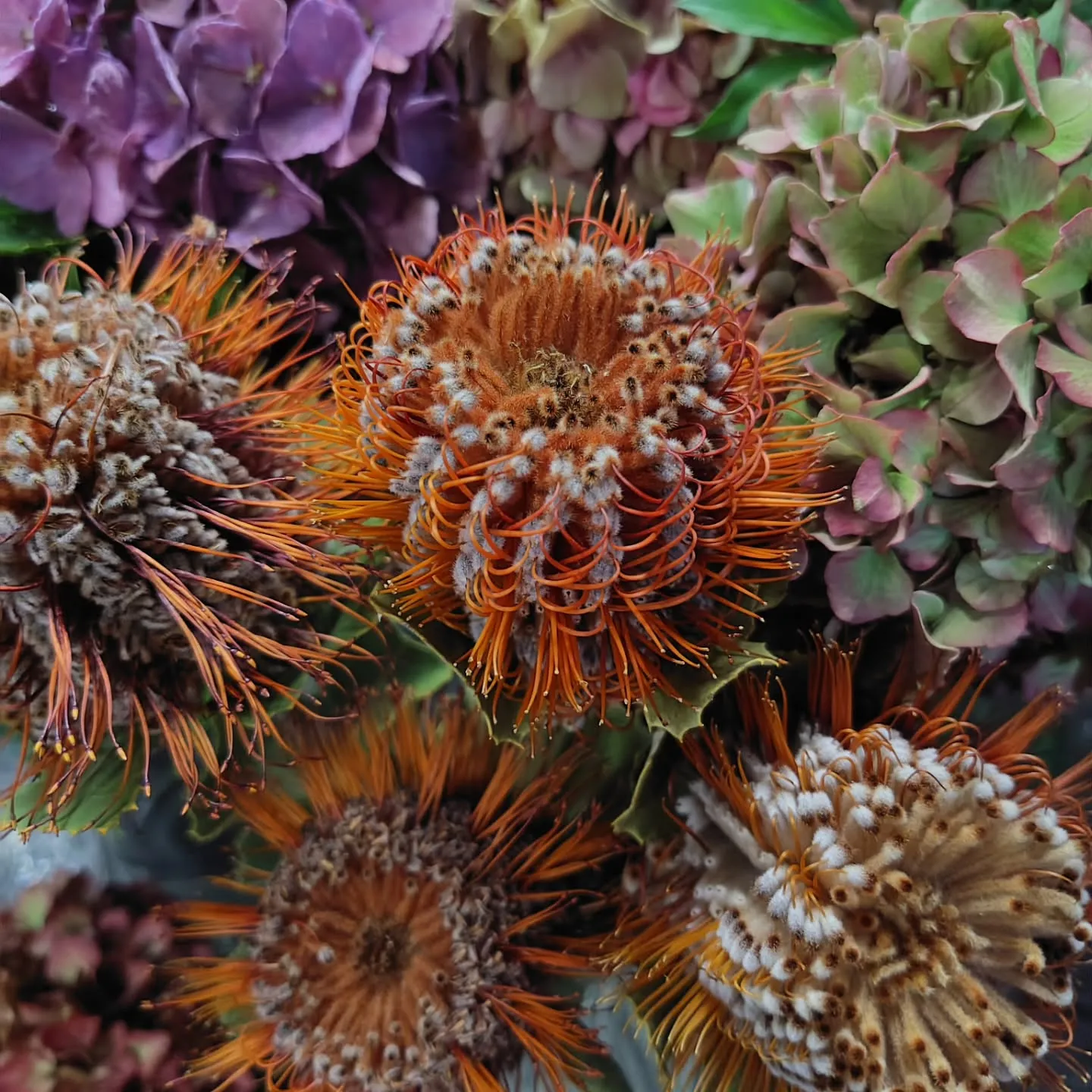 秋色な草🌿