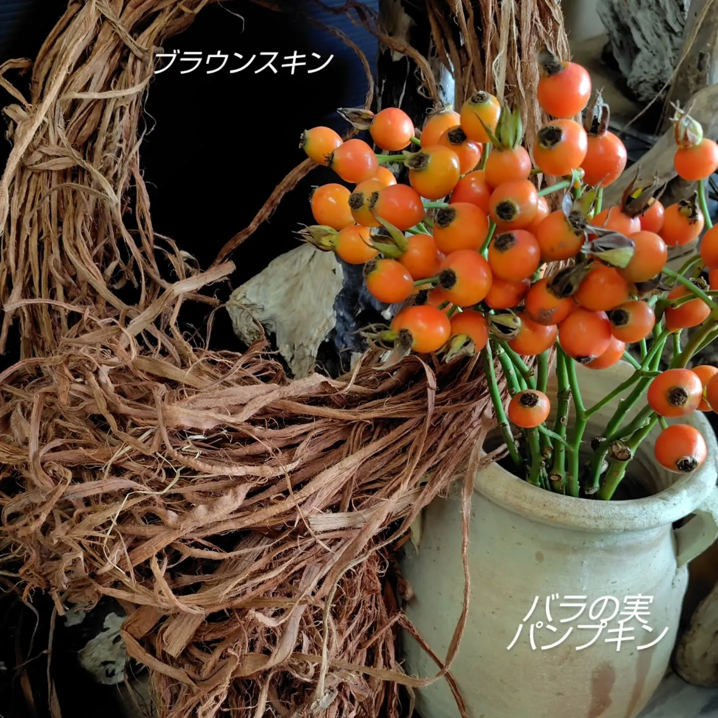 秋秋秋の実