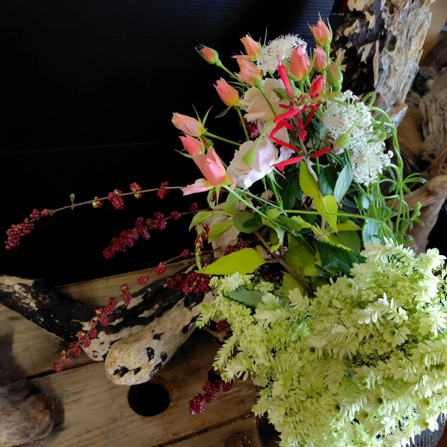 ミナヅキスターバースト