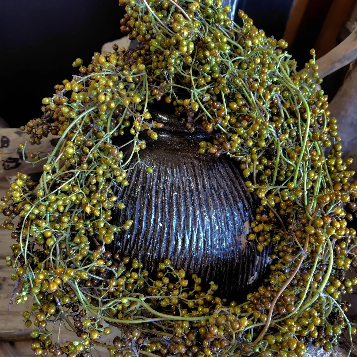 コッパーカラー