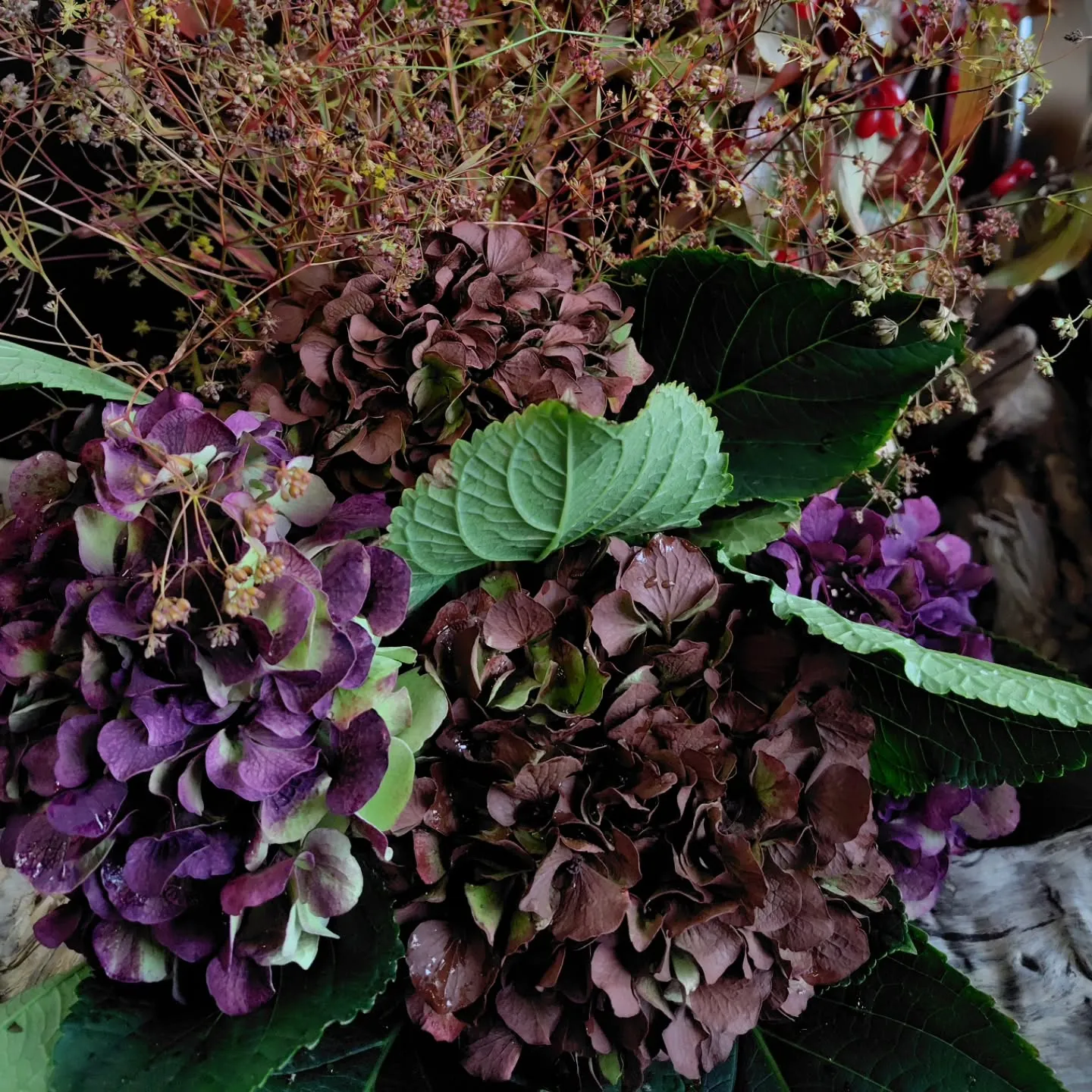 うはっ！！　な色合い