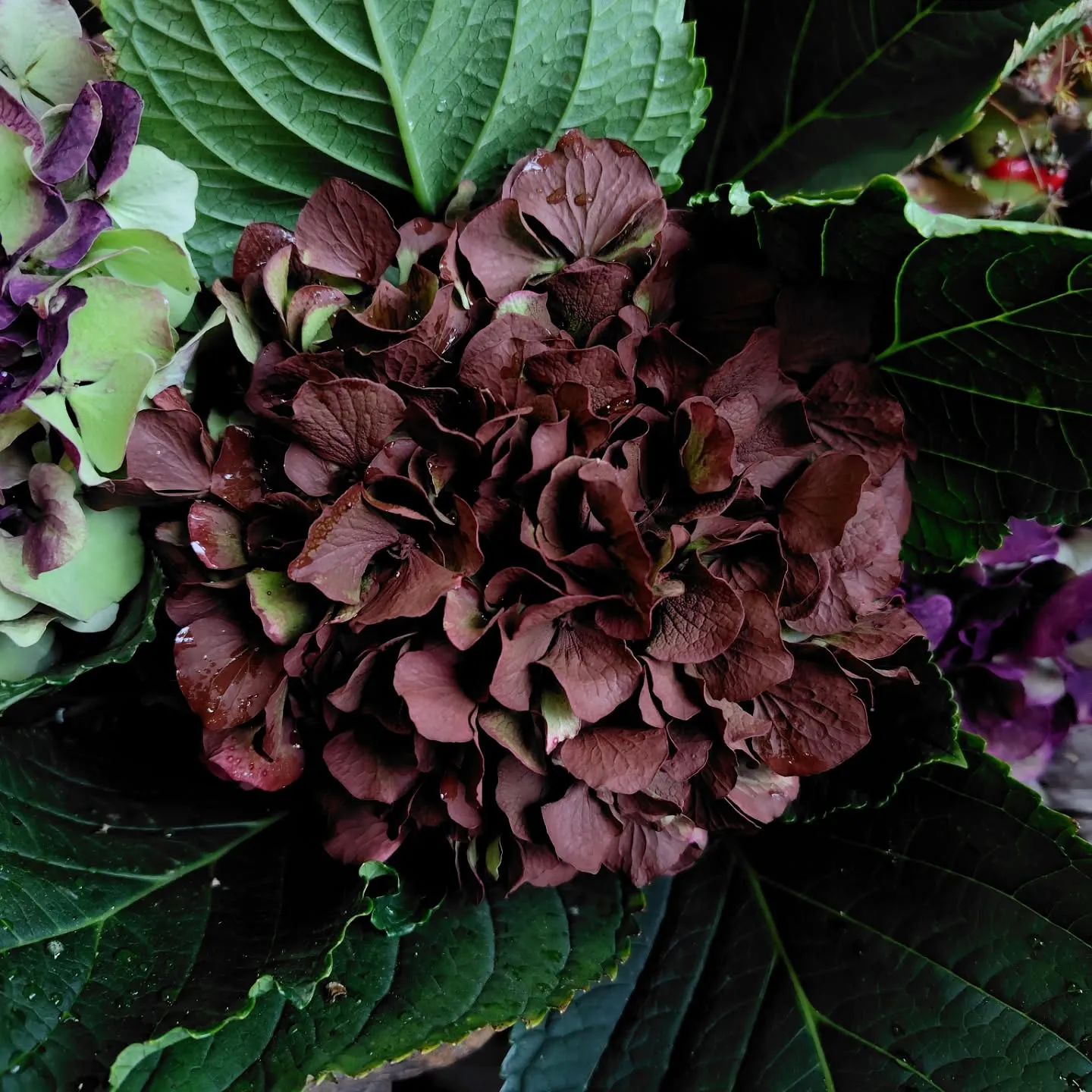 うはっ!! な色合い