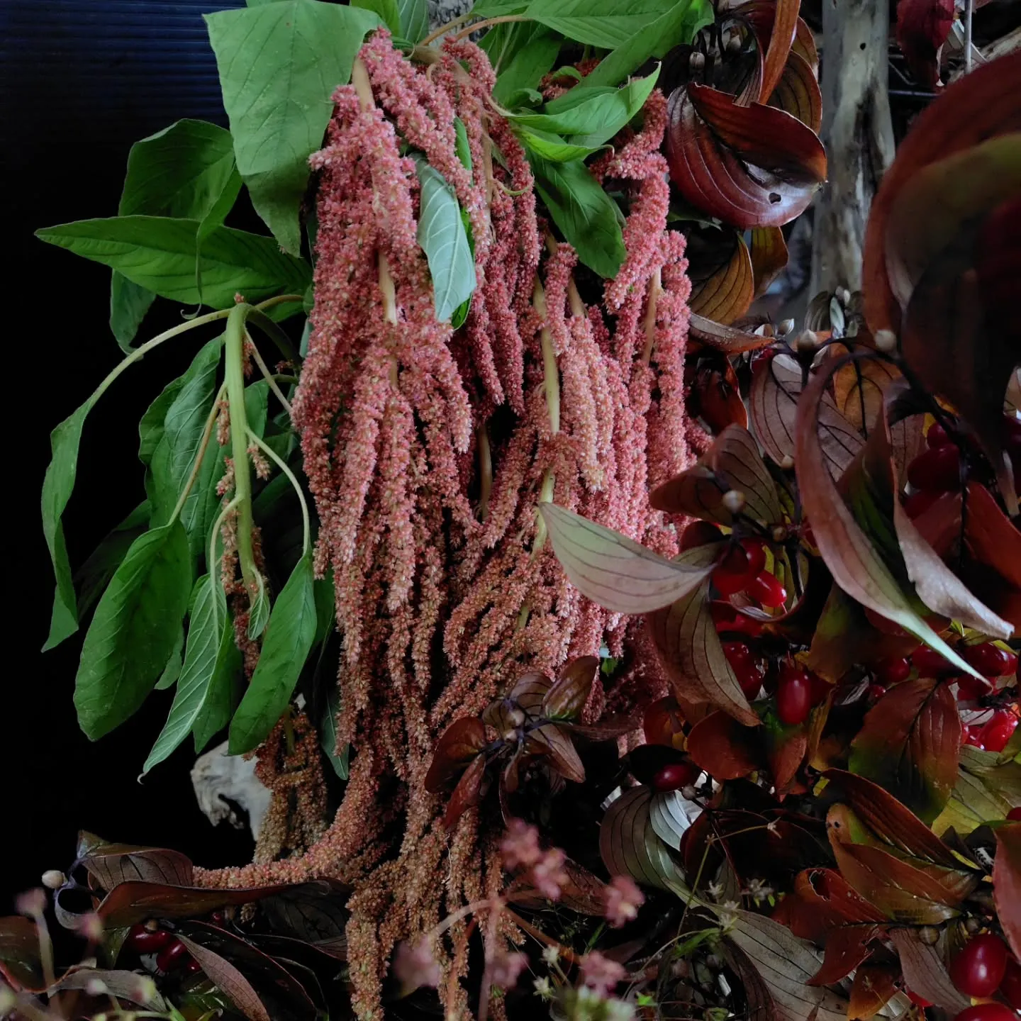 うはっ!! な色合い