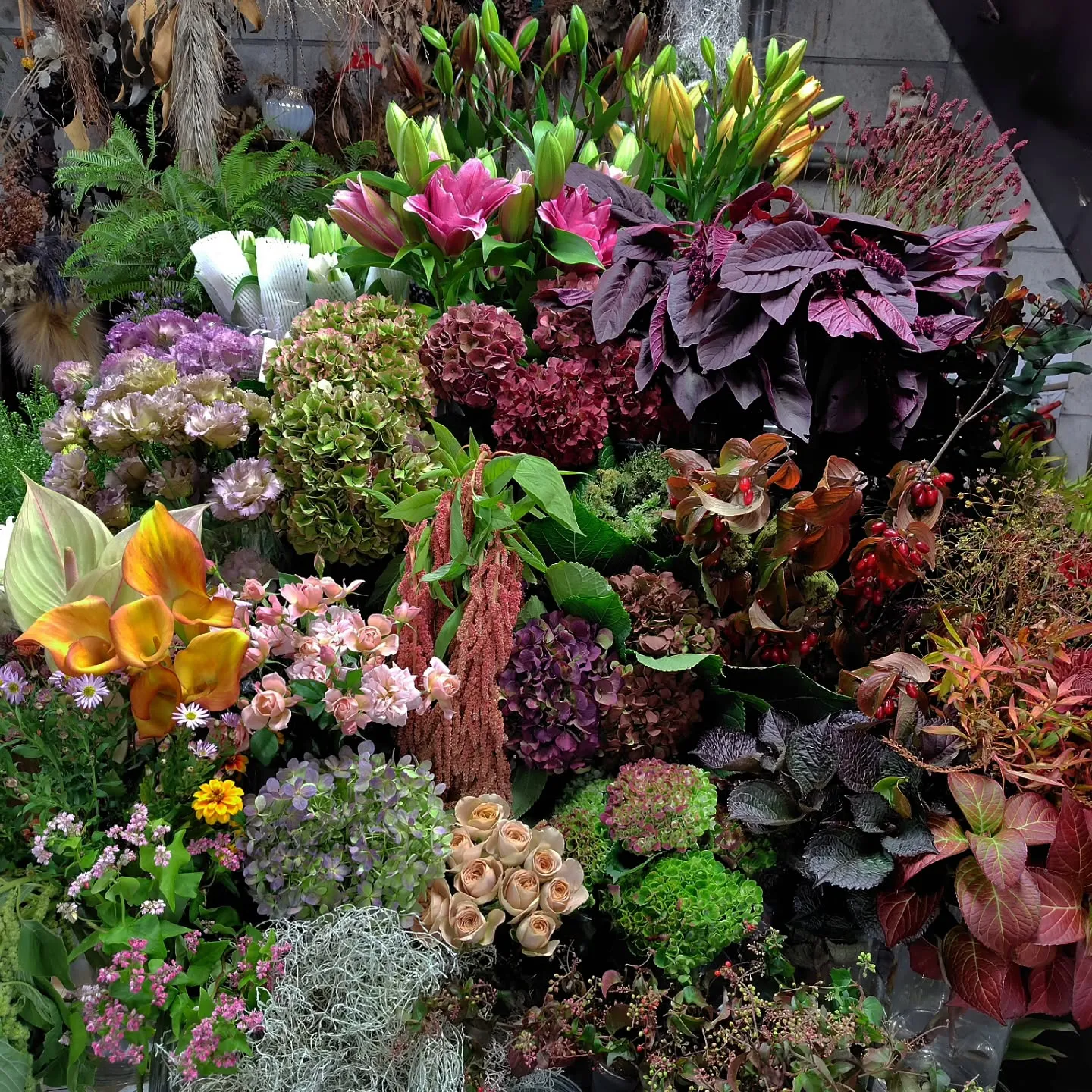 秋色つづく今日の草