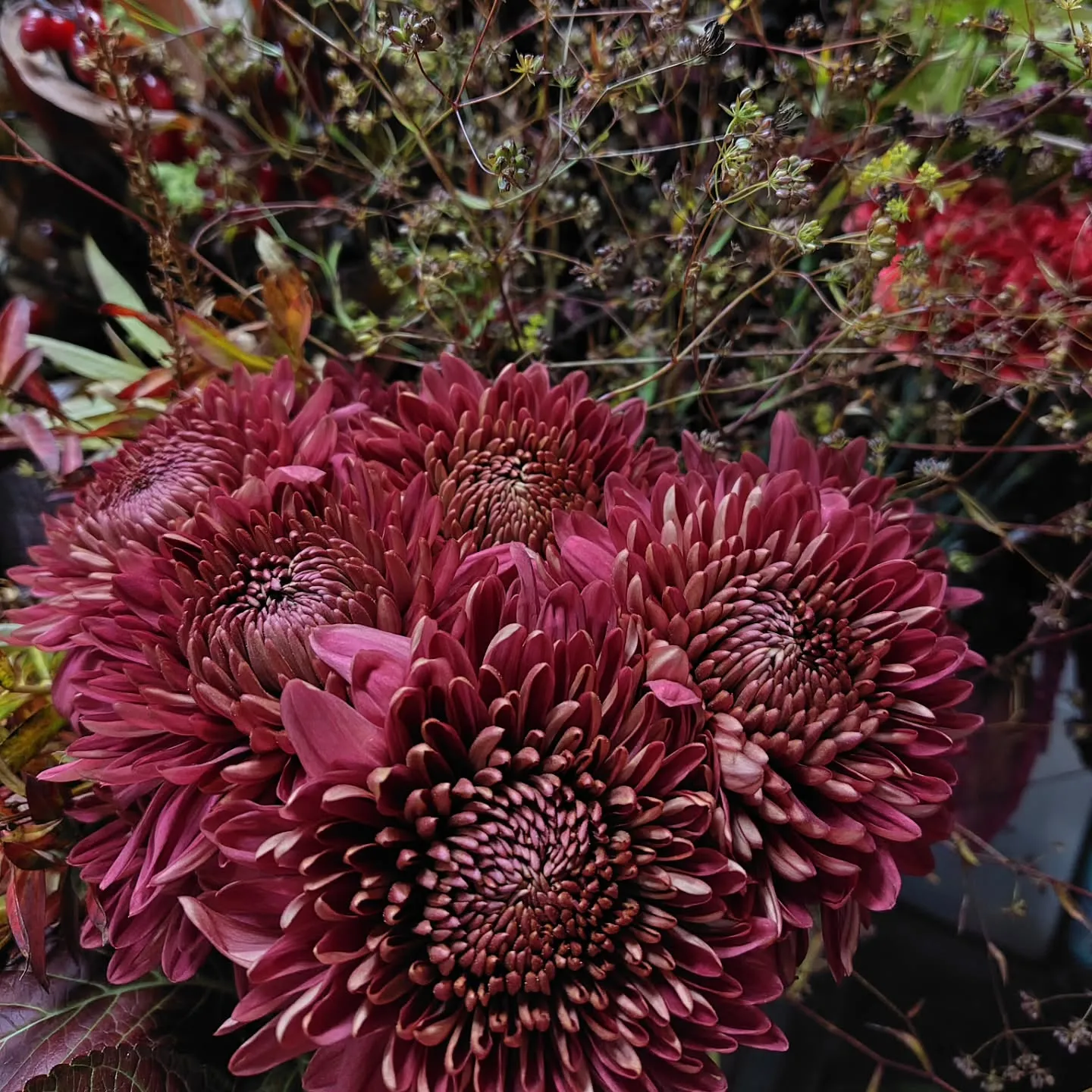 秋色つづく今日の草