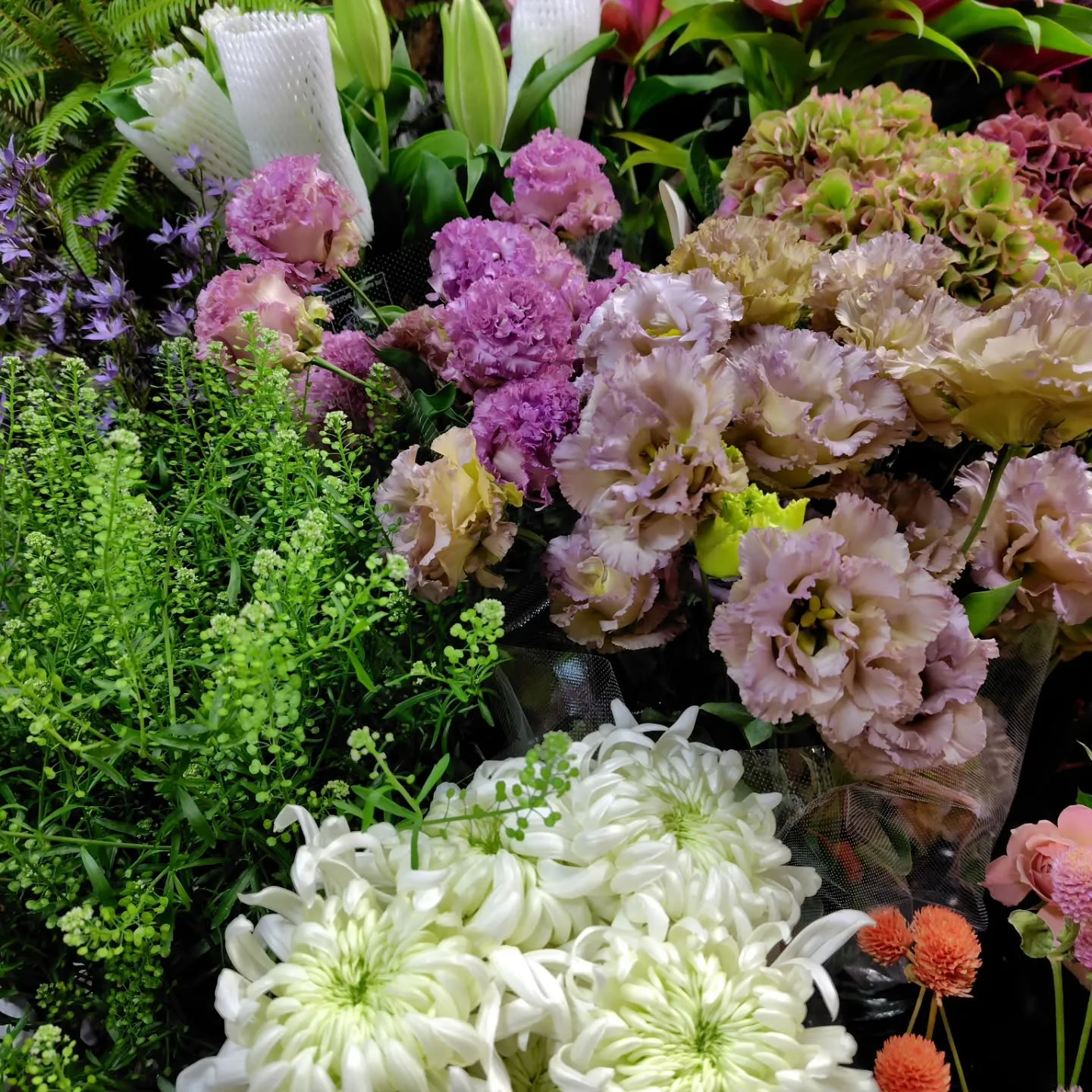 秋色つづく今日の草