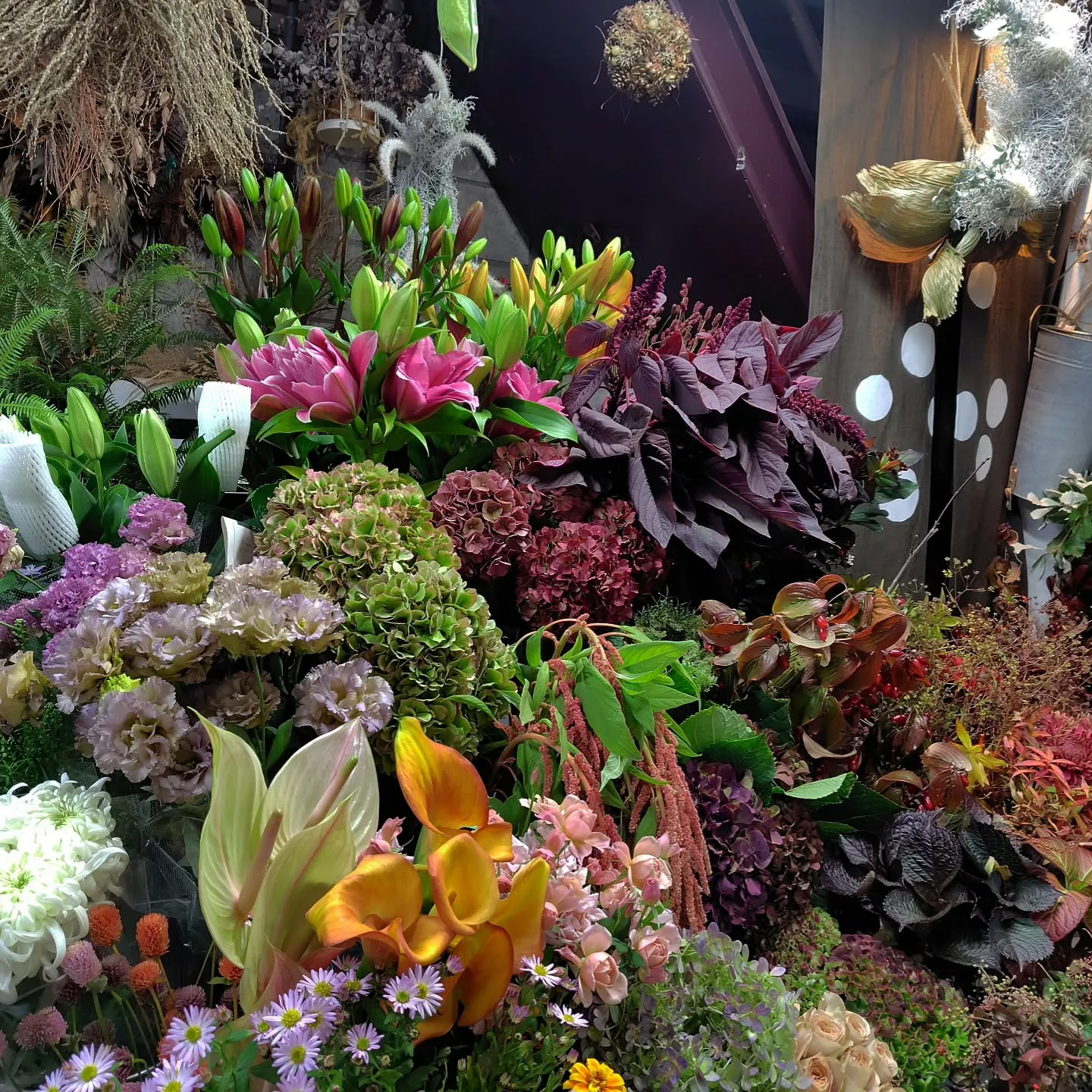 秋色つづく今日の草