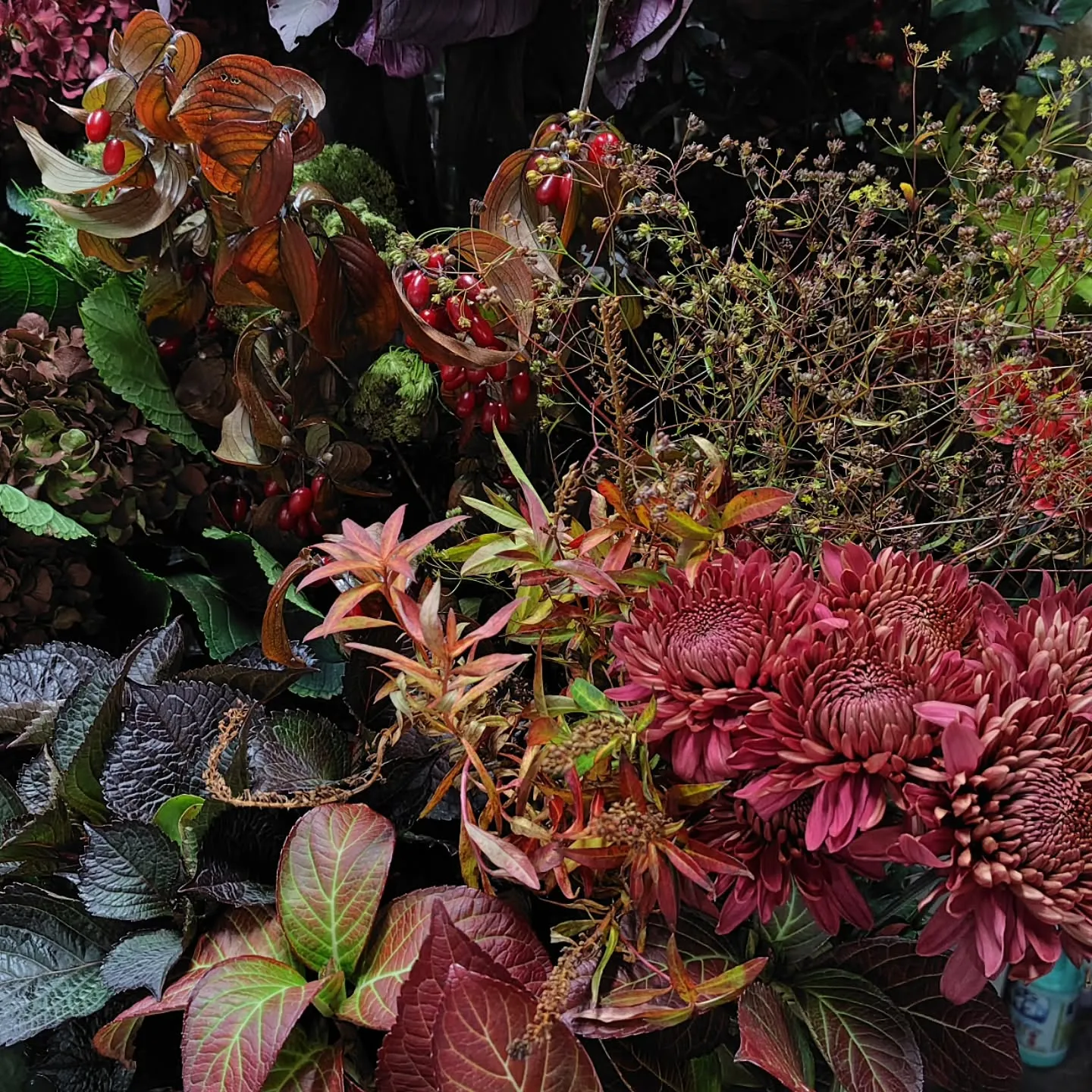 秋色つづく今日の草