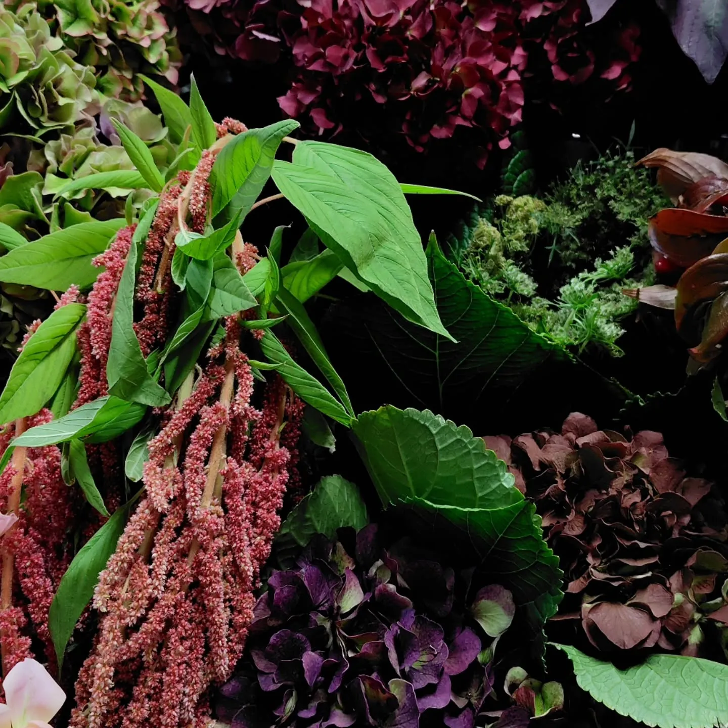 秋色つづく今日の草