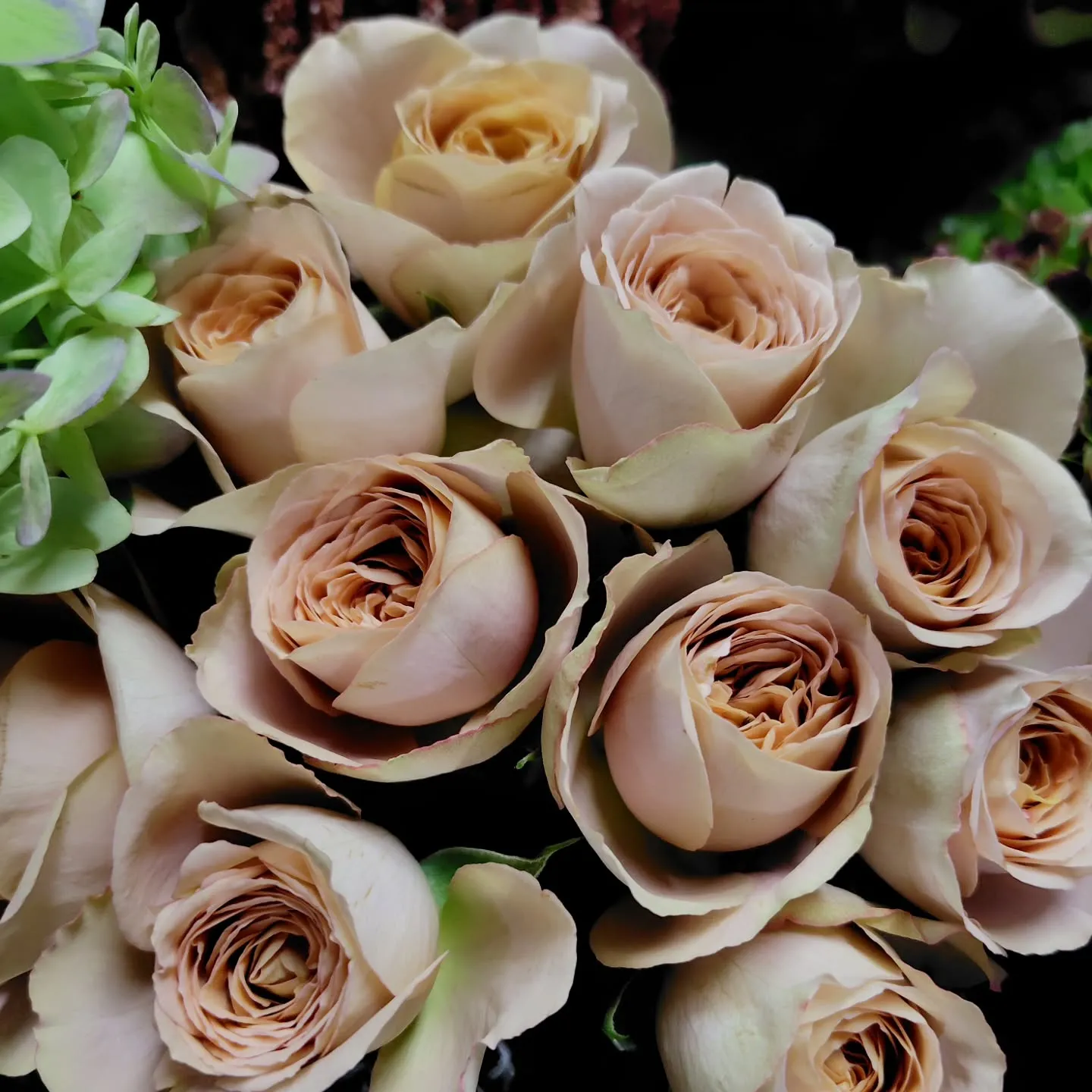 秋色つづく今日の草