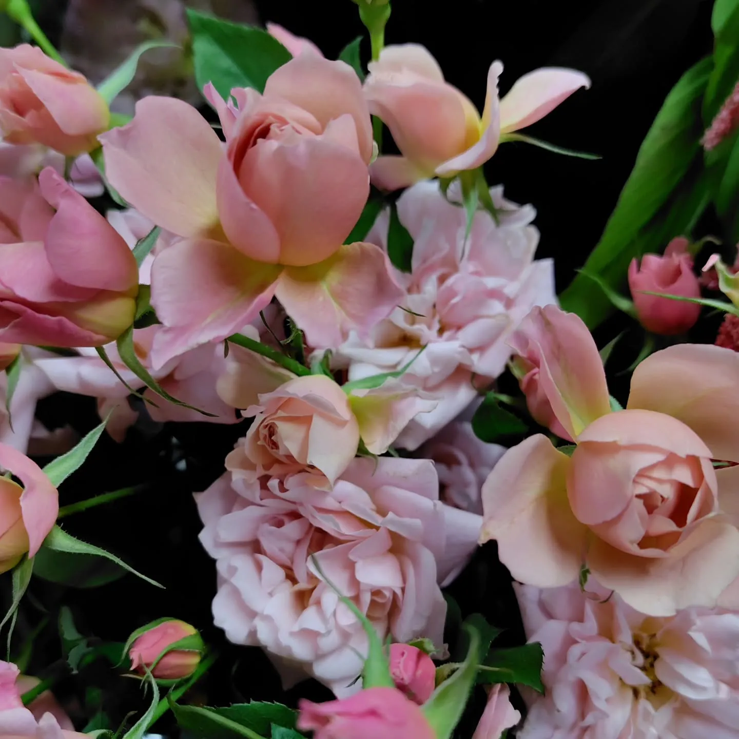 秋色つづく今日の草