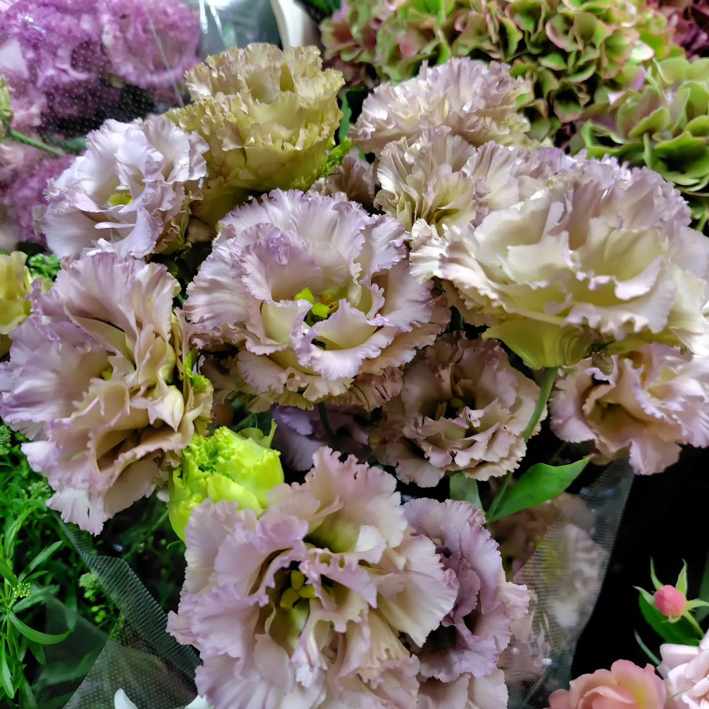 秋色つづく今日の草