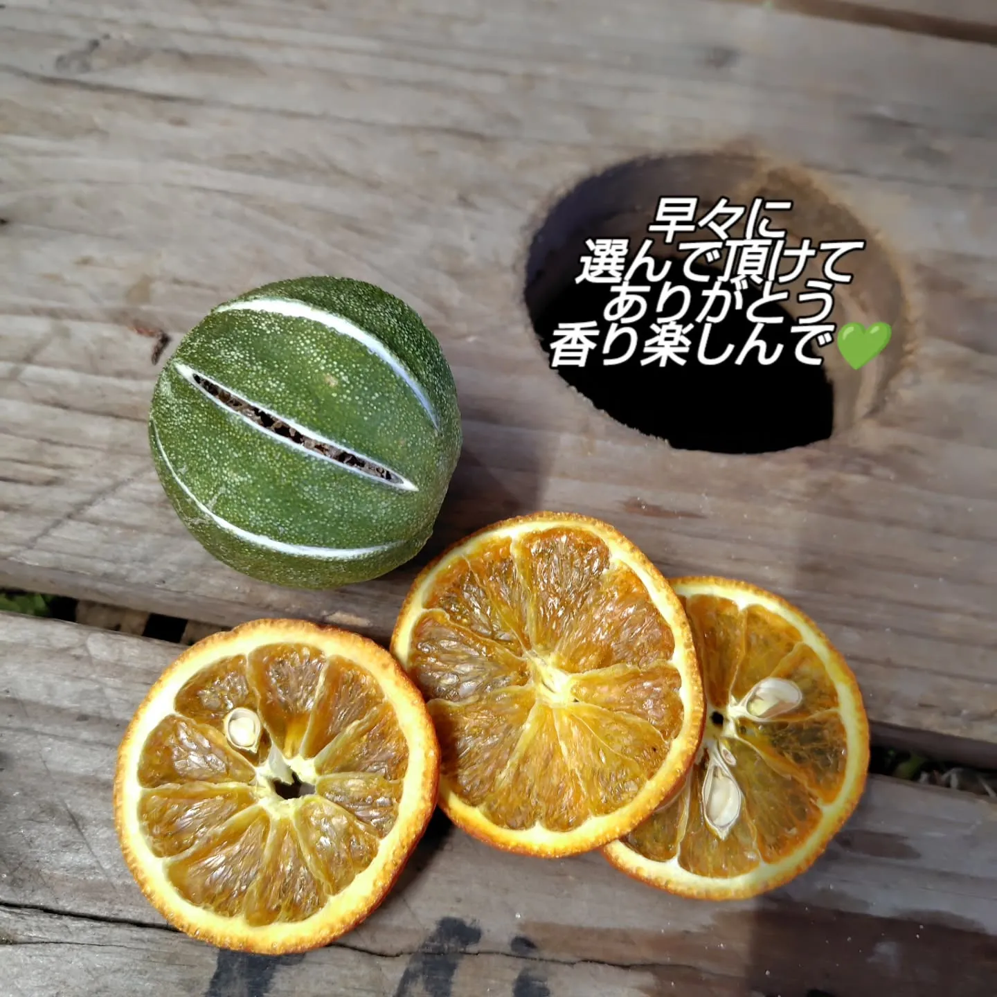 バンクシアもりもりさぁ！！