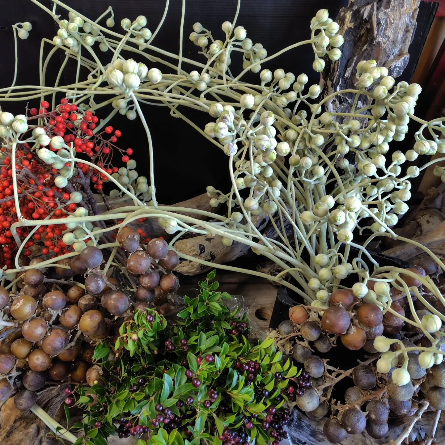 ふっふっふっな朝