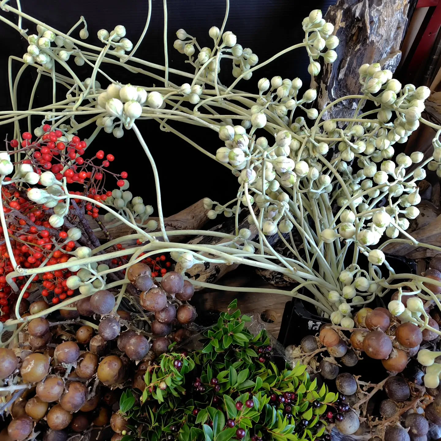 ふっふっふっな朝