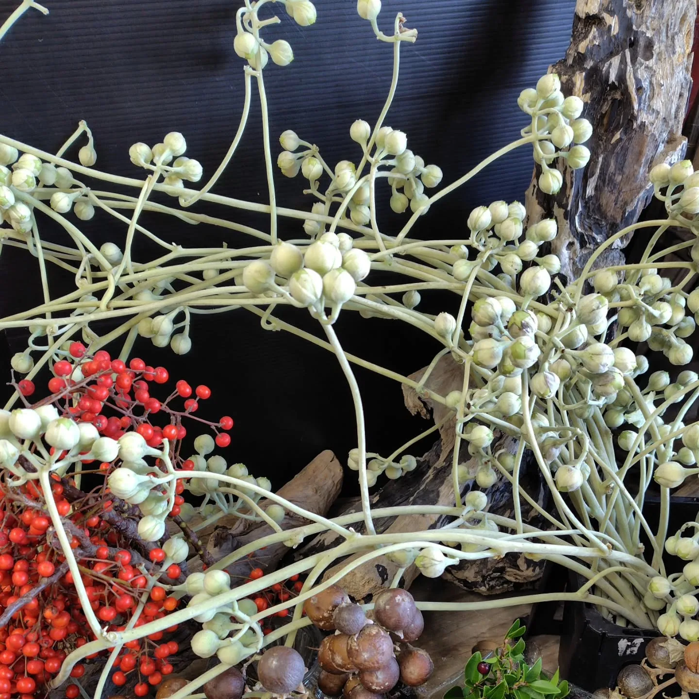 ふっふっふっな朝