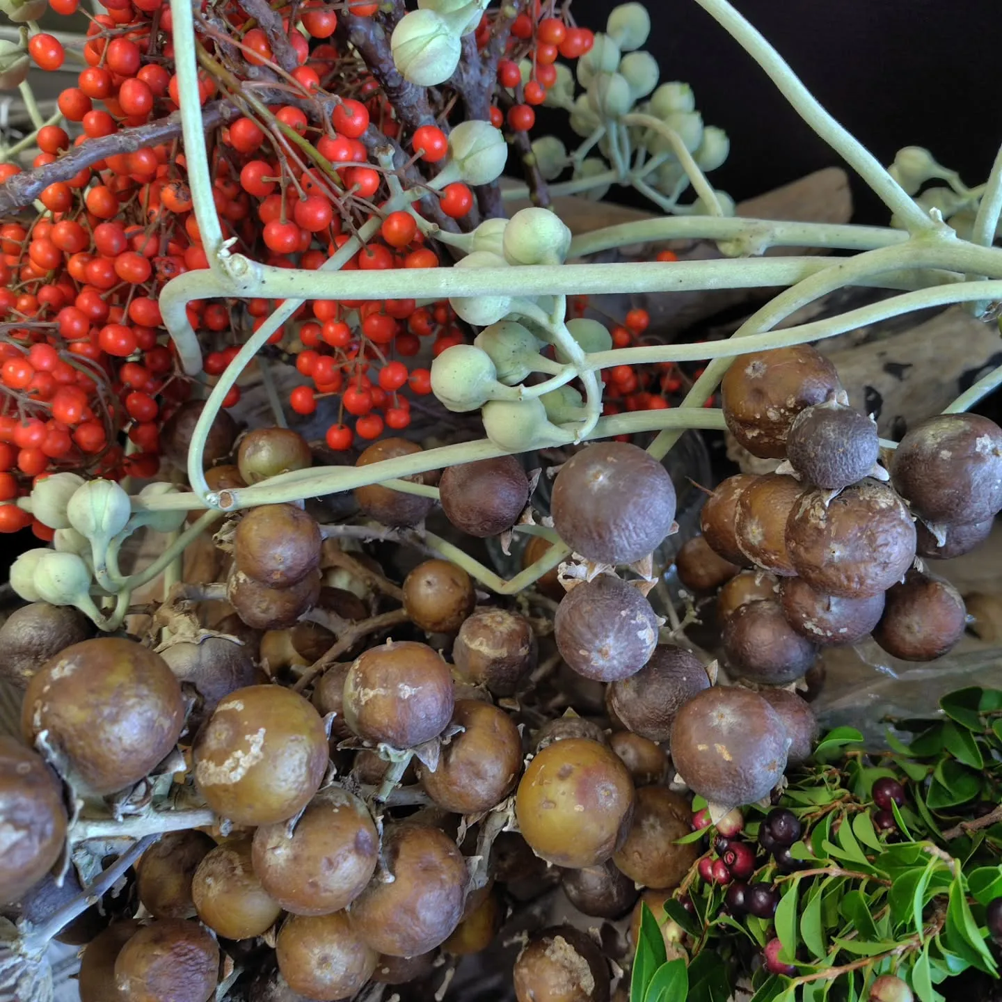 ふっふっふっな朝