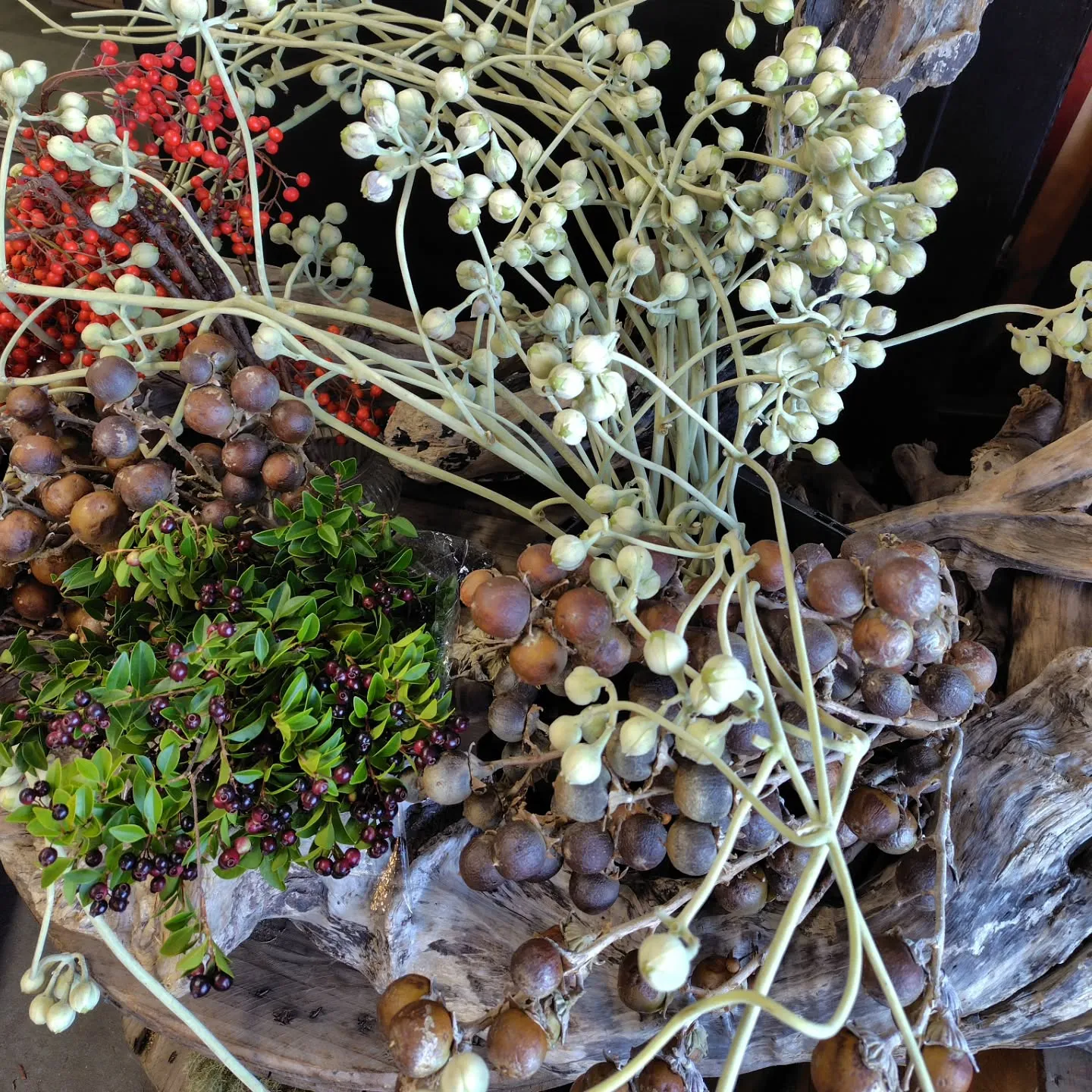 ふっふっふっな朝