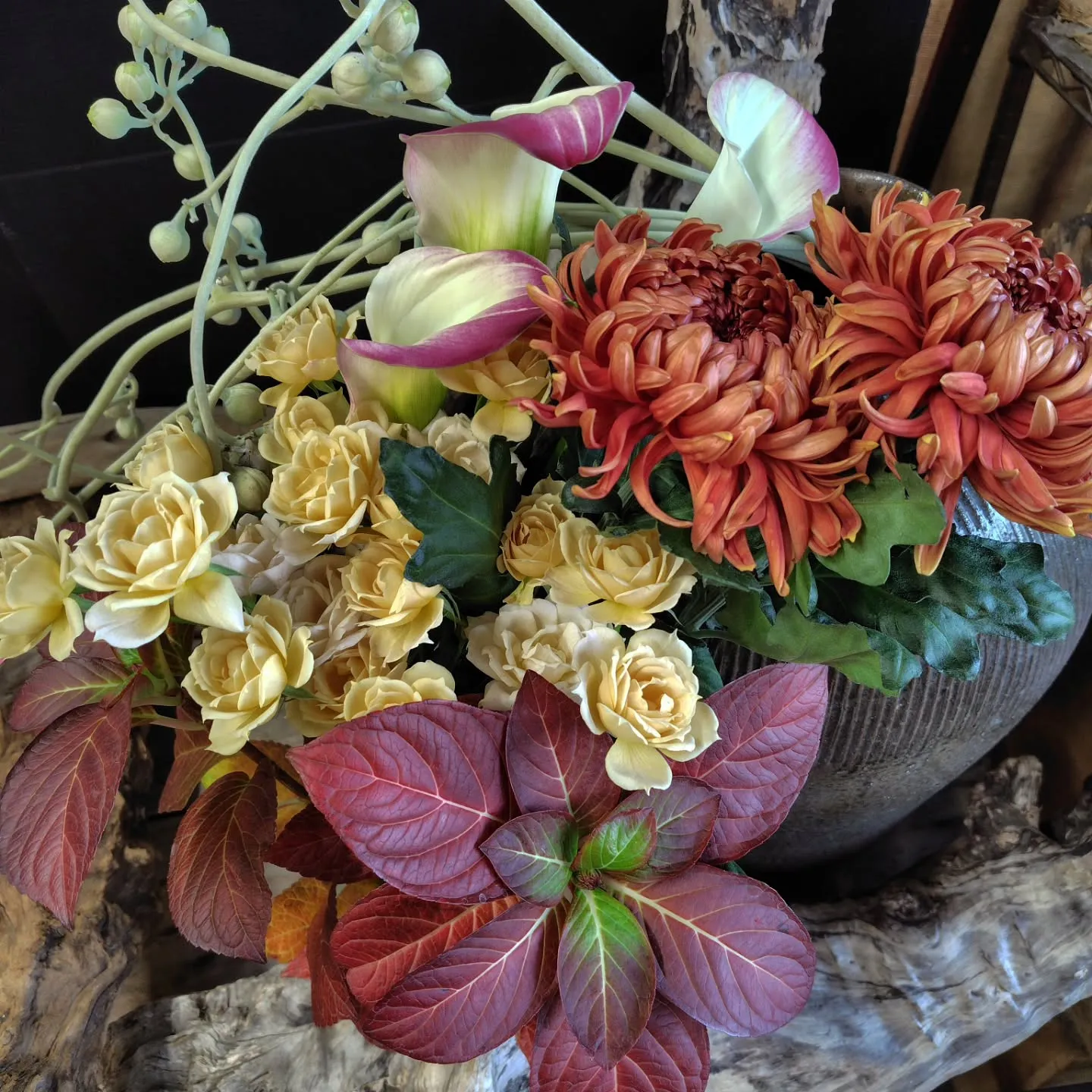 おはようさん🌞