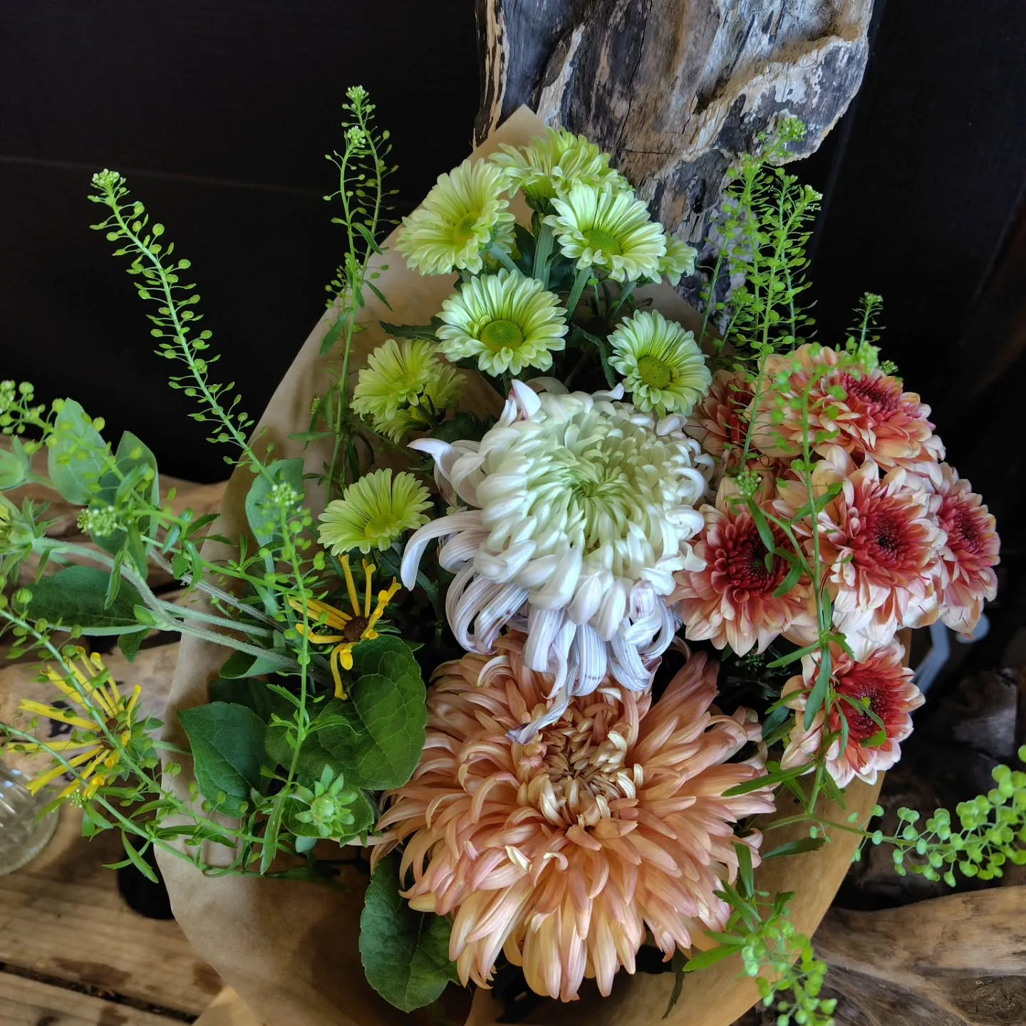 おはようさん🌞